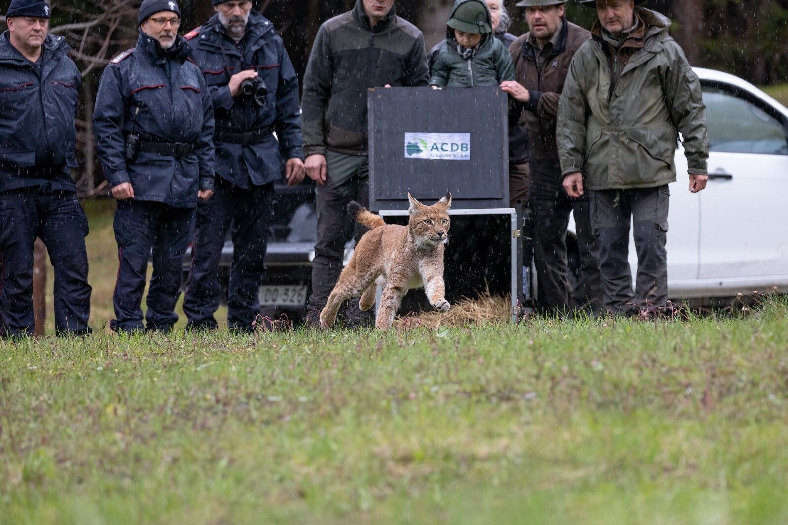 © Ufficio stampa WWF