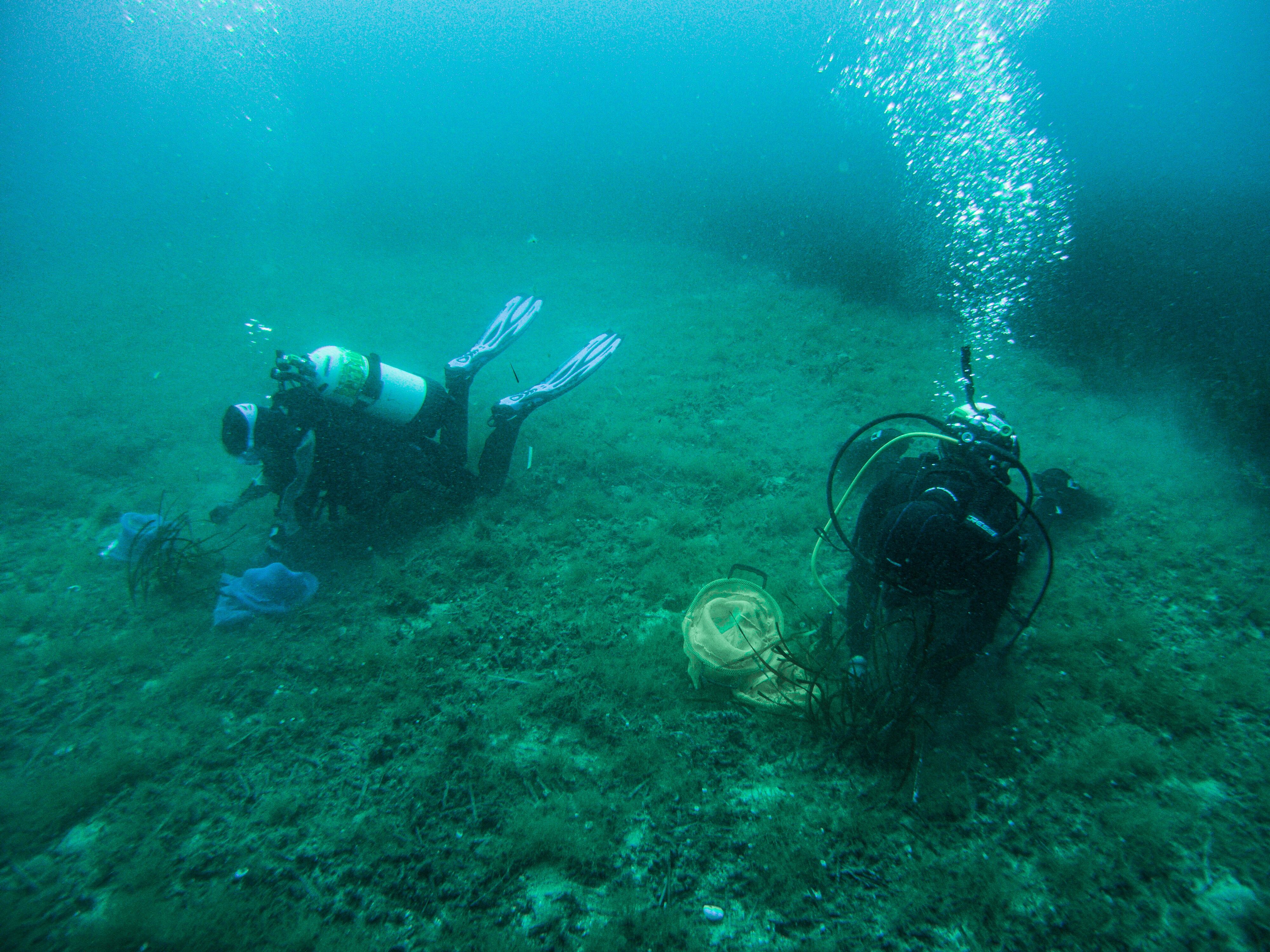 © Ufficio Stampa MEDSEA