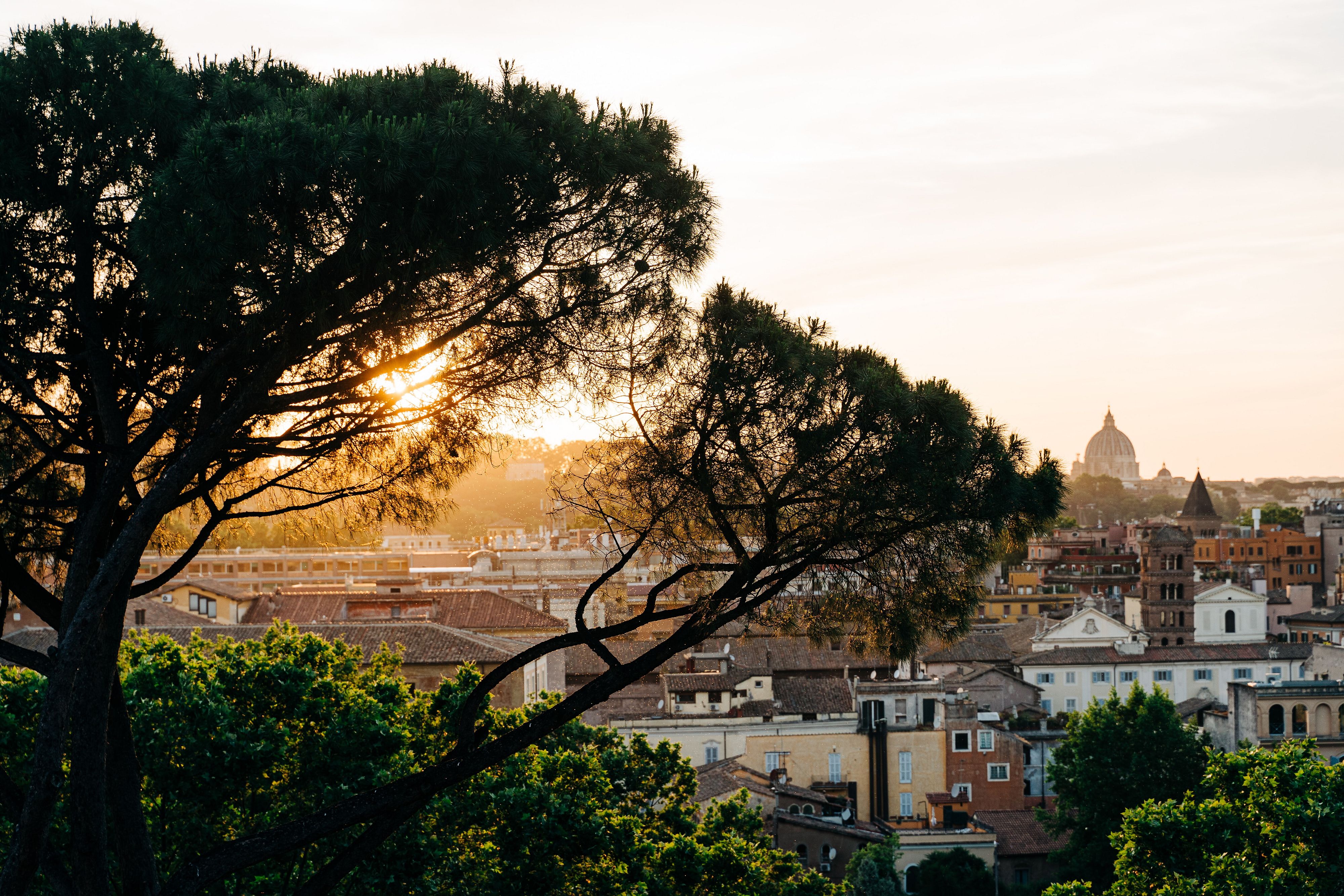 © Unsplash