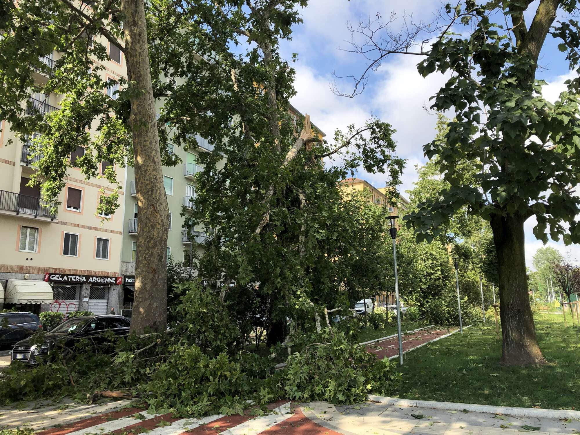 © IPA  | Maltempo a Milano, la devastazione in viale Argonne 