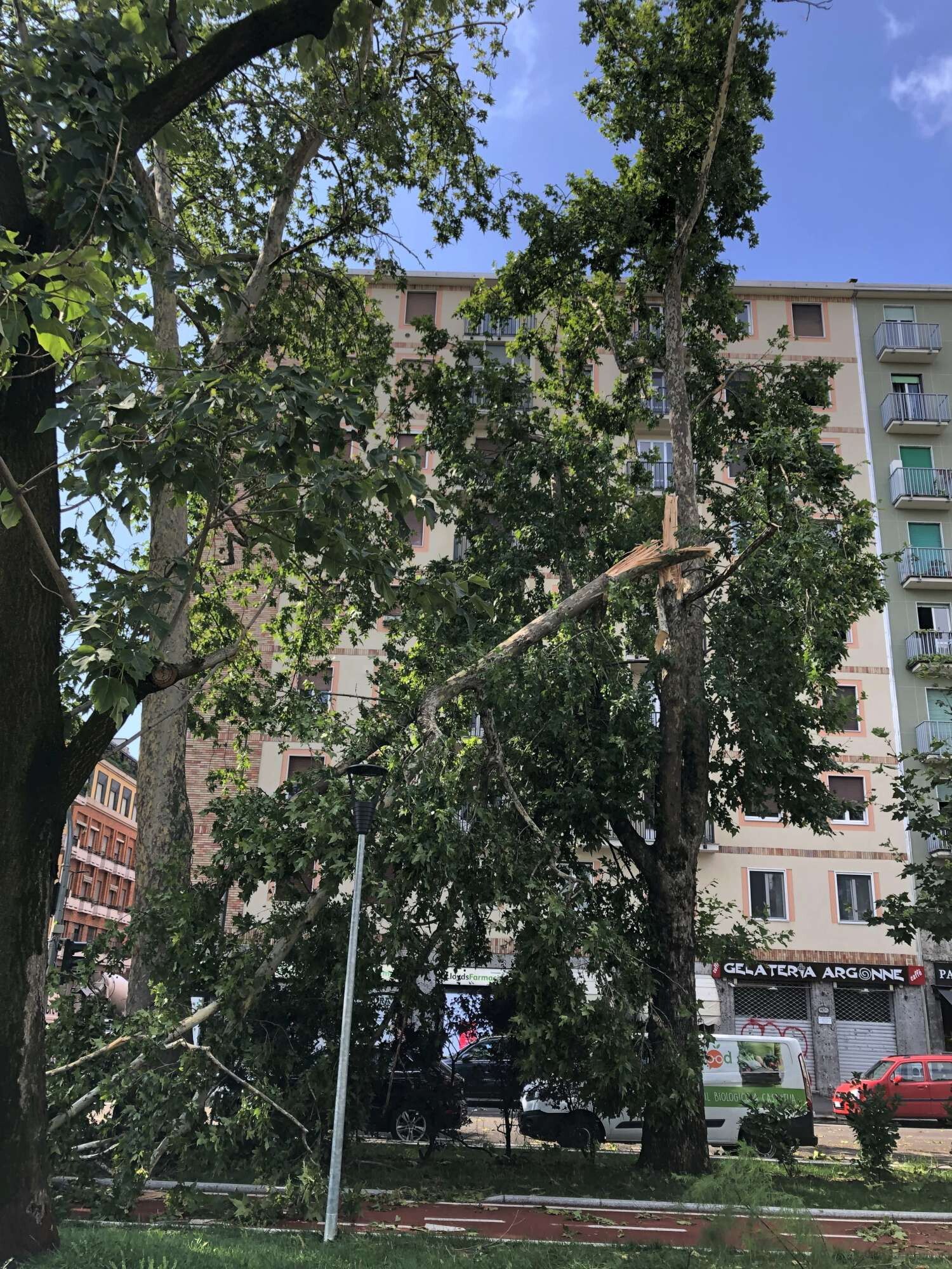 © IPA  | Maltempo a Milano, la devastazione in viale Argonne 