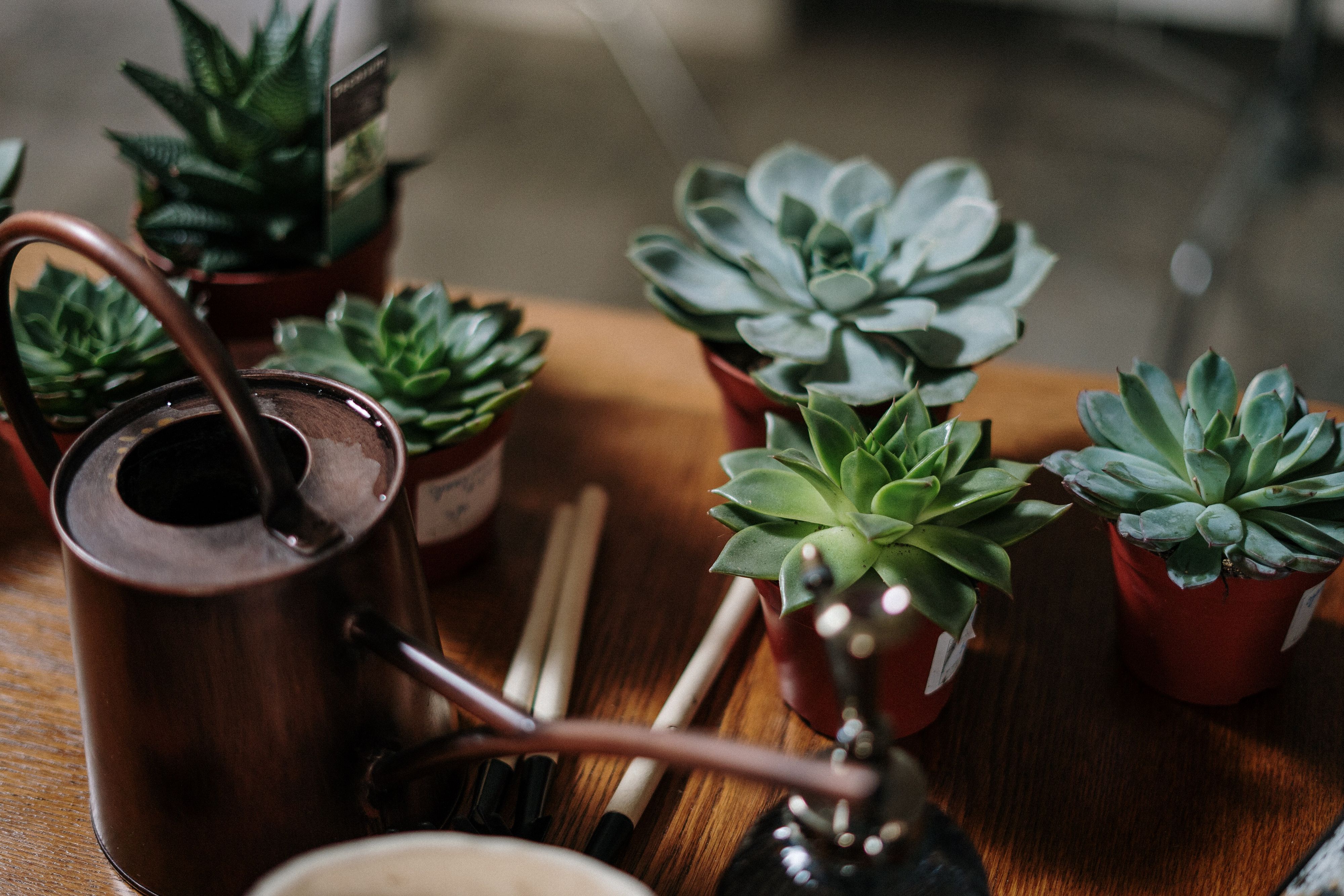 © Pexels