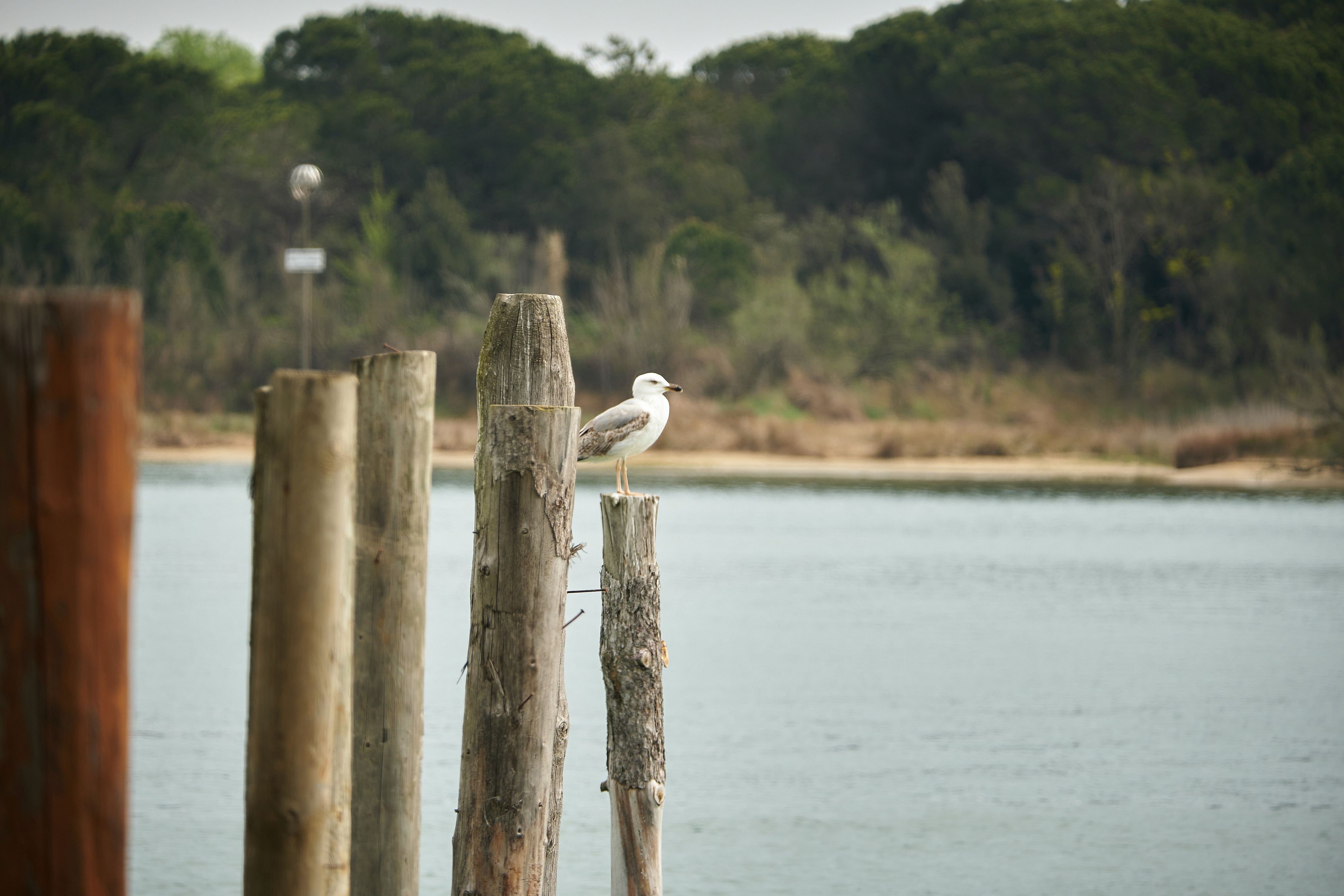 © Unsplash