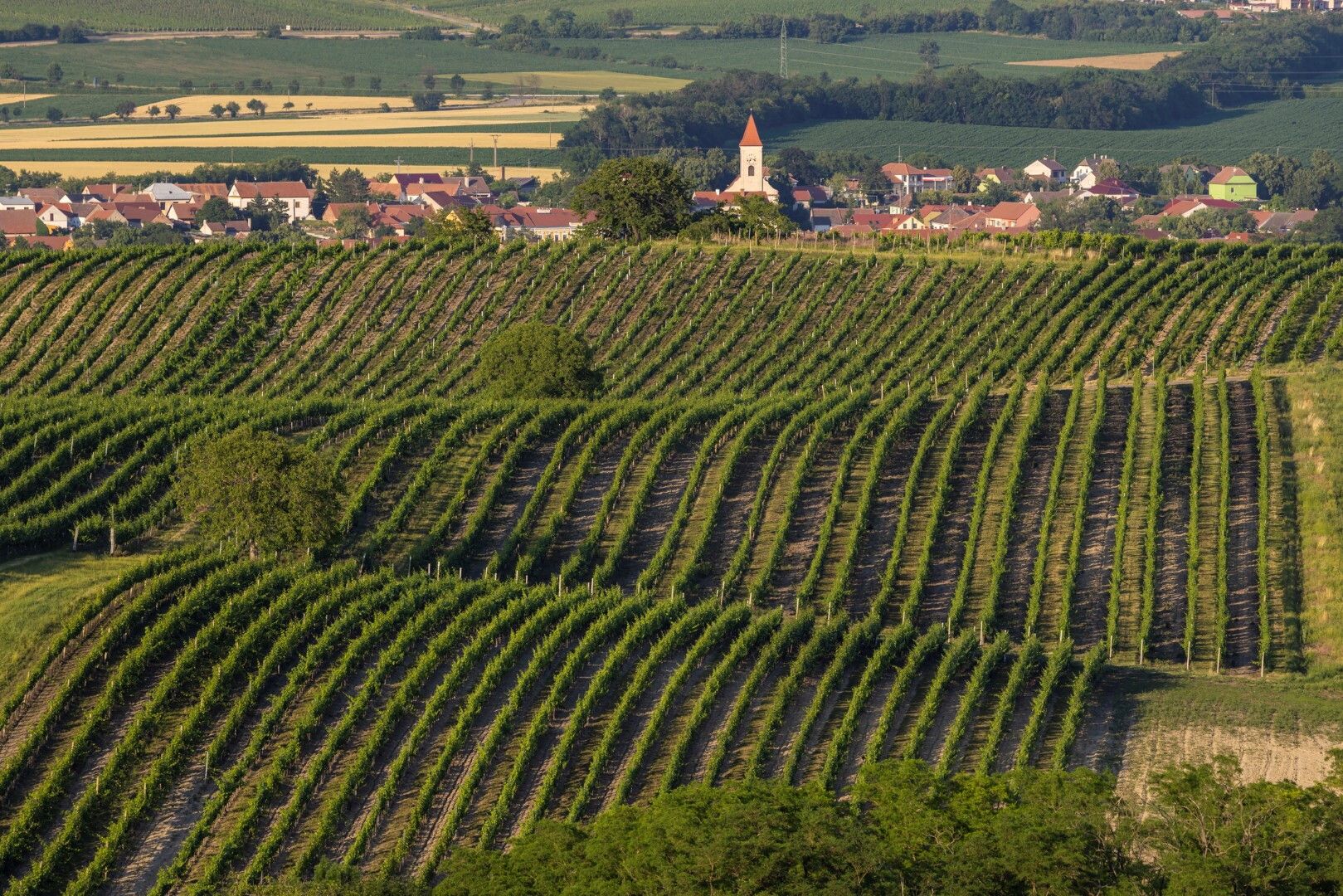 © Istockphoto  | Sonoma Country, California 