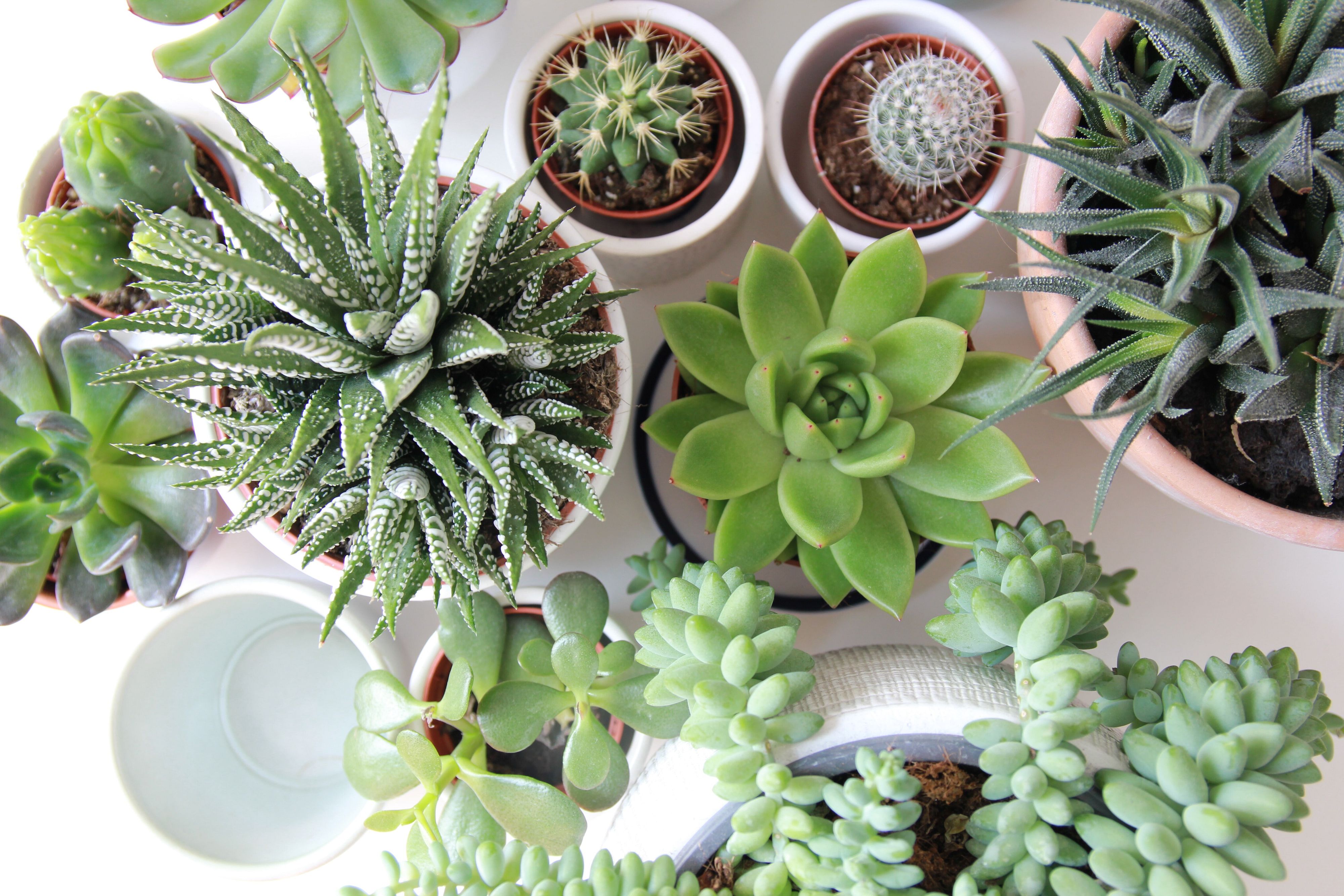 © Unsplash