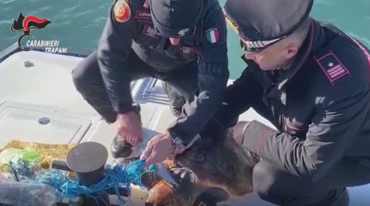 © Carabinieri 