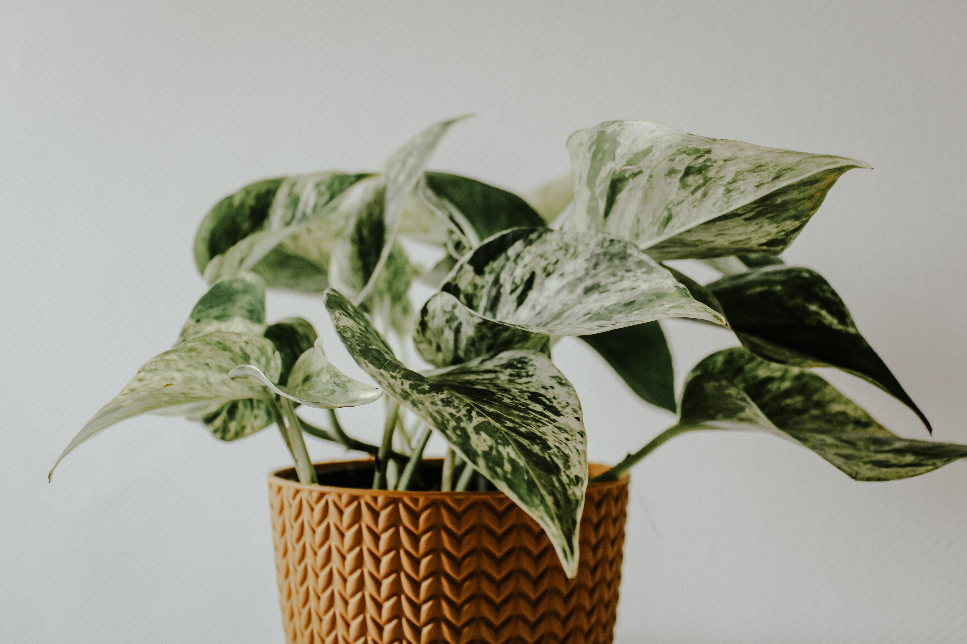 © Unsplash