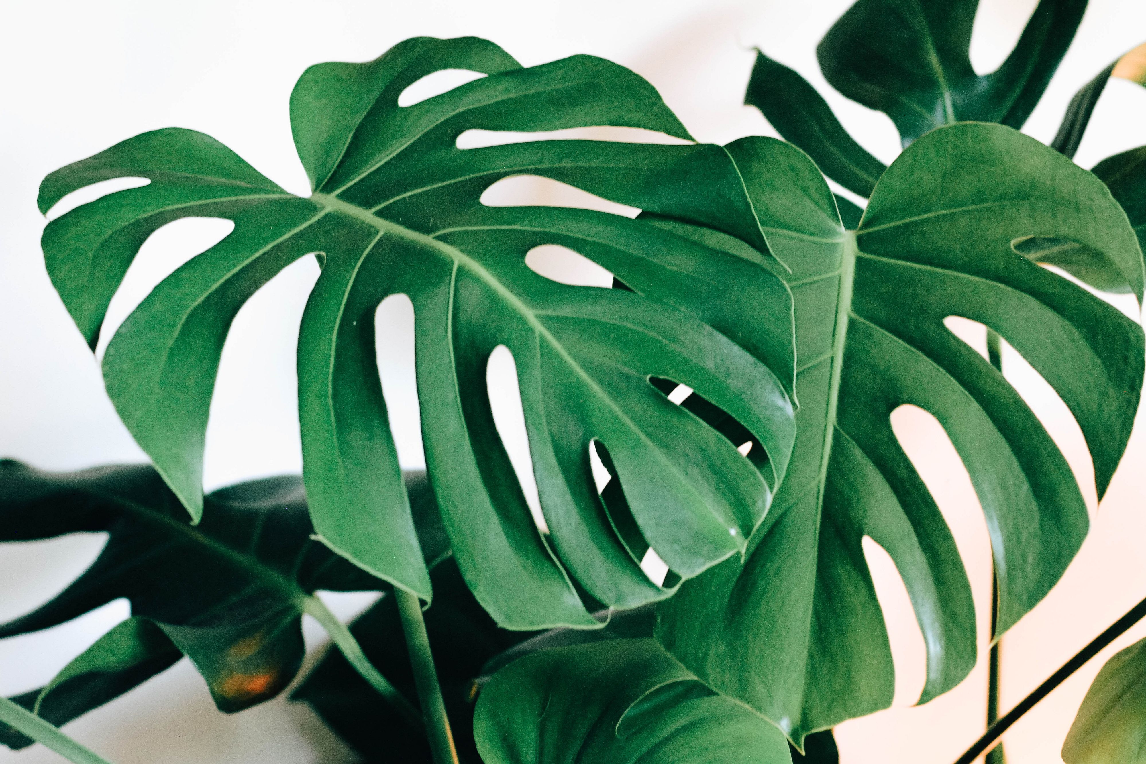 © Unsplash