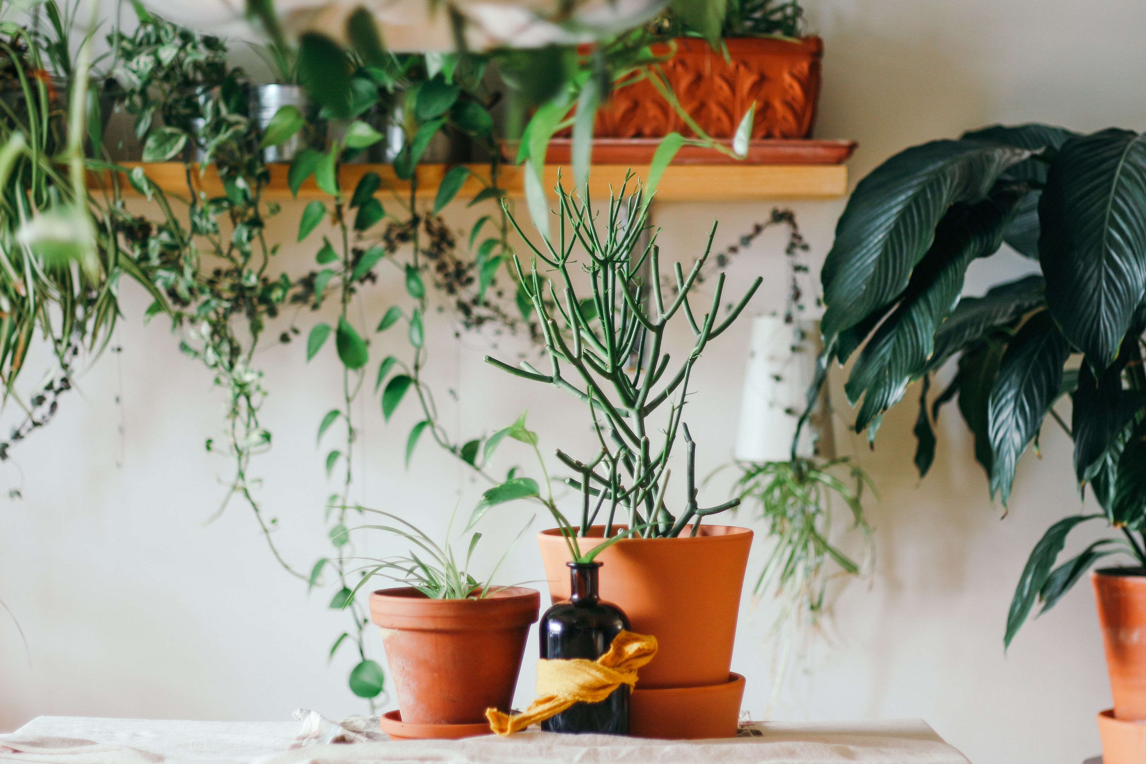 © Unsplash