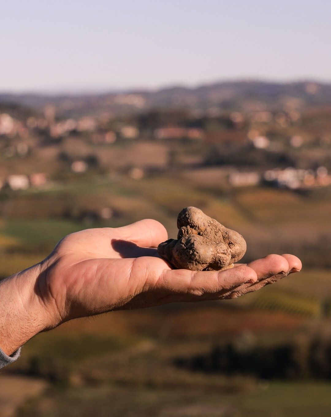 © Istockphoto  | Barolo