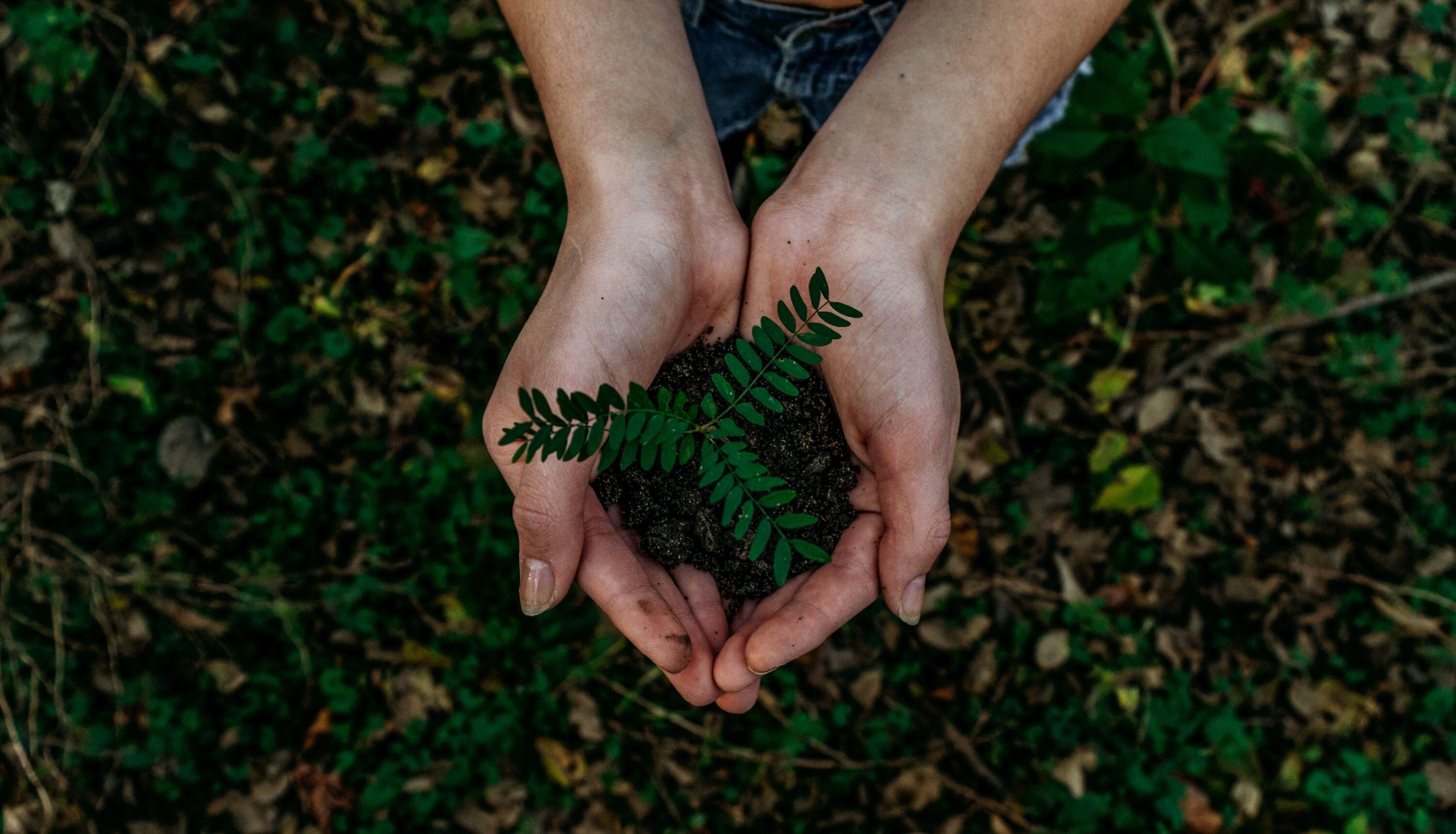© Unsplash