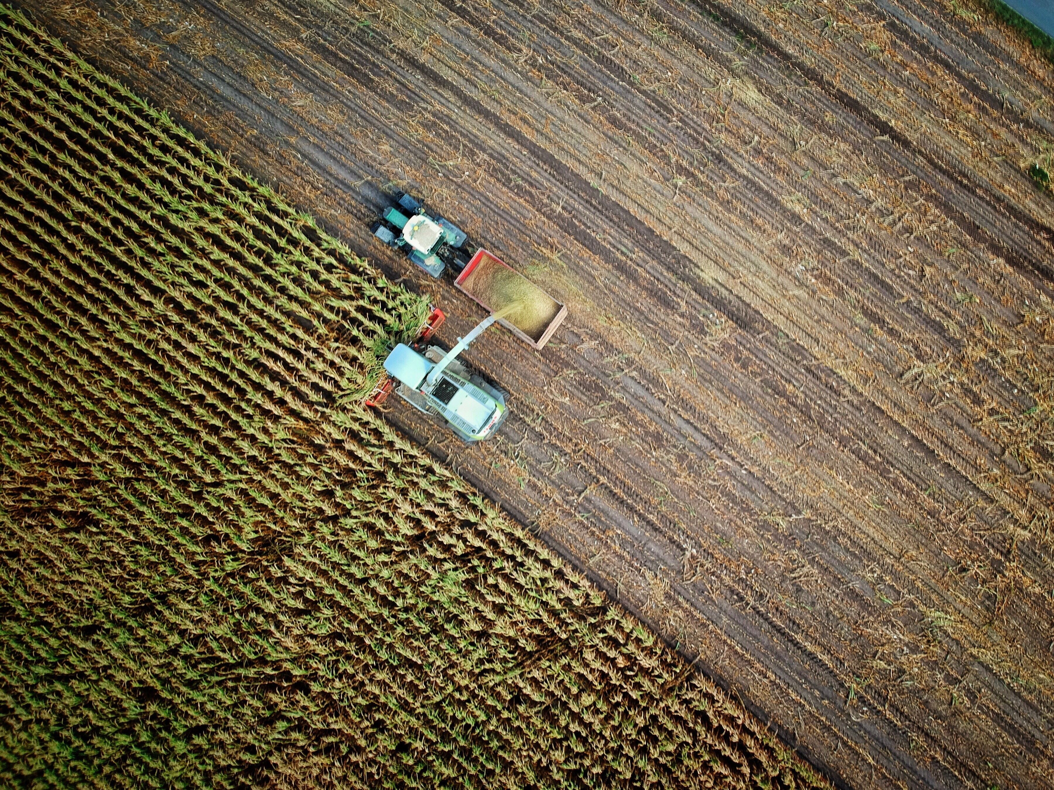 © Unsplash