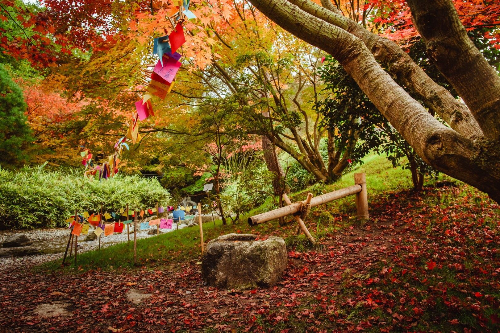 © Ufficio stampa  |  Foto: Giardini di Castel Trauttmansdorff