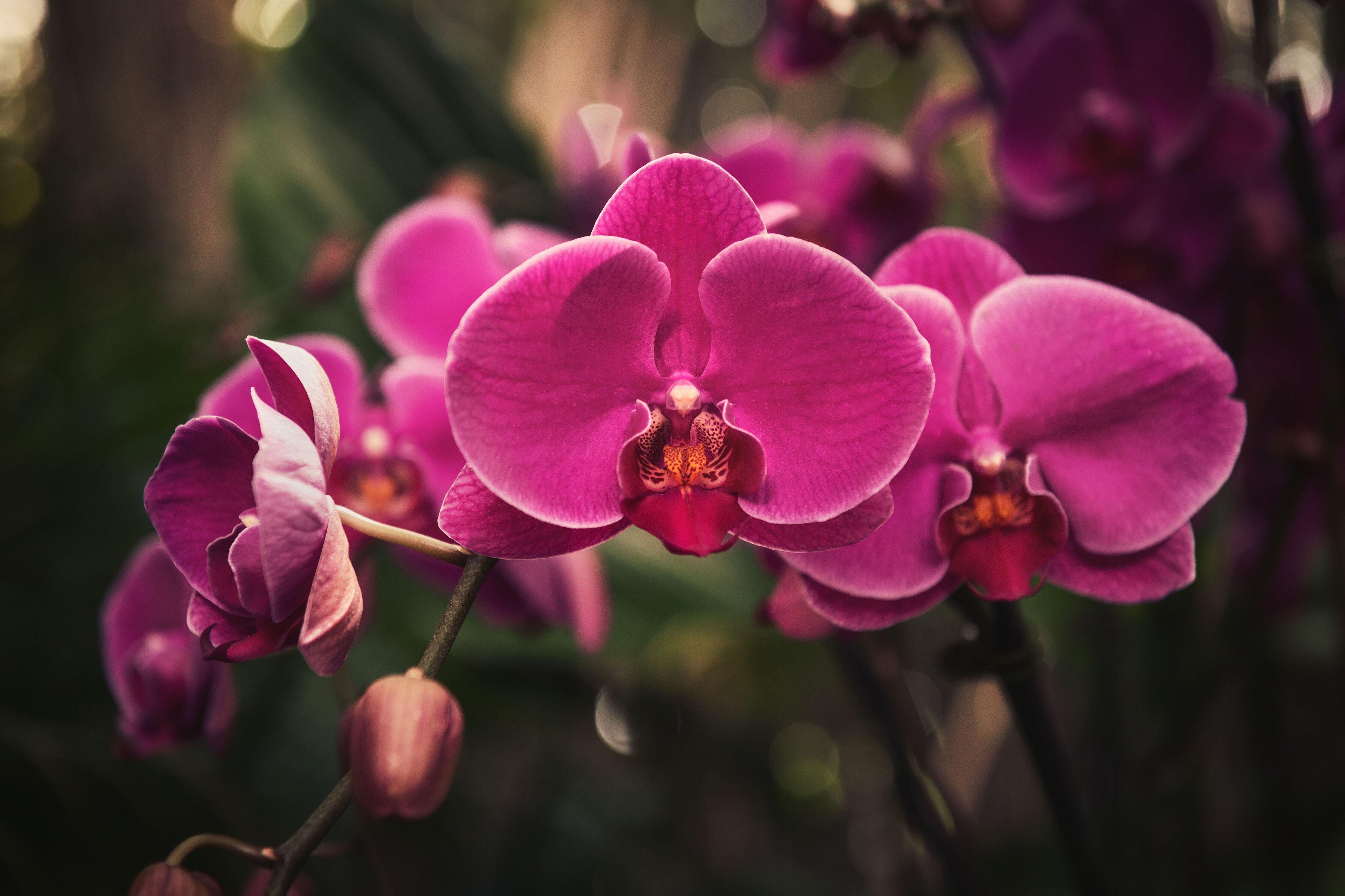 © Unsplash