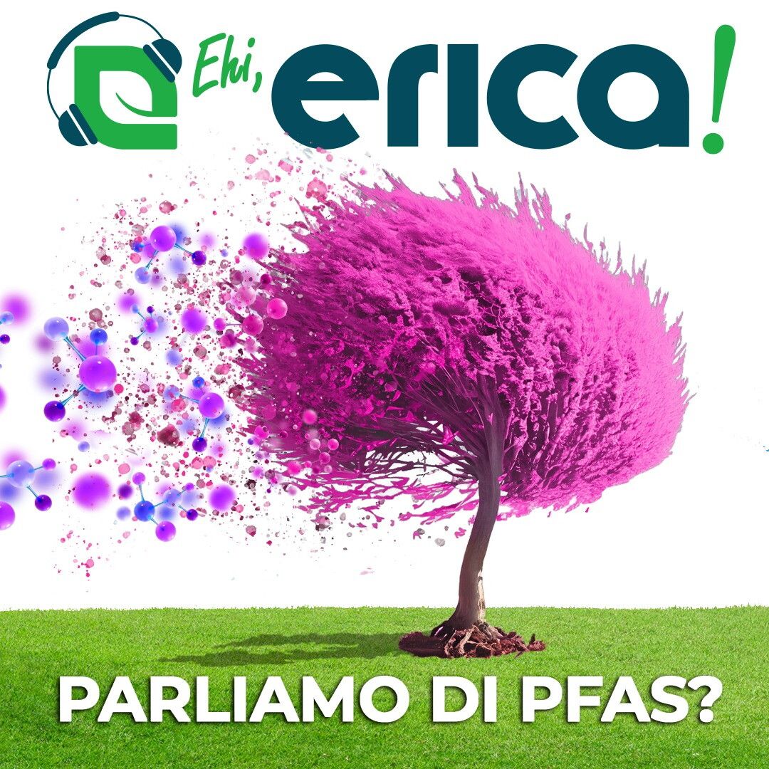 © Ufficio stampa