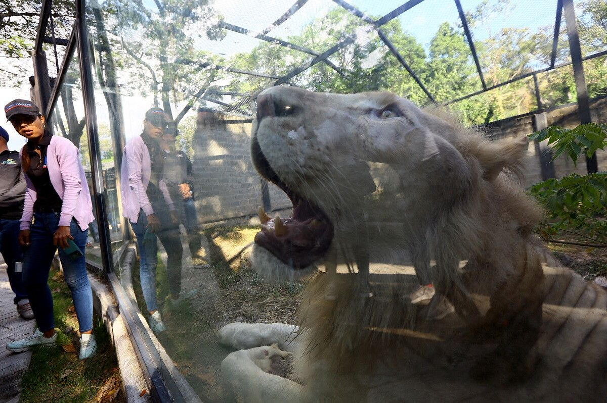 © Afp 
