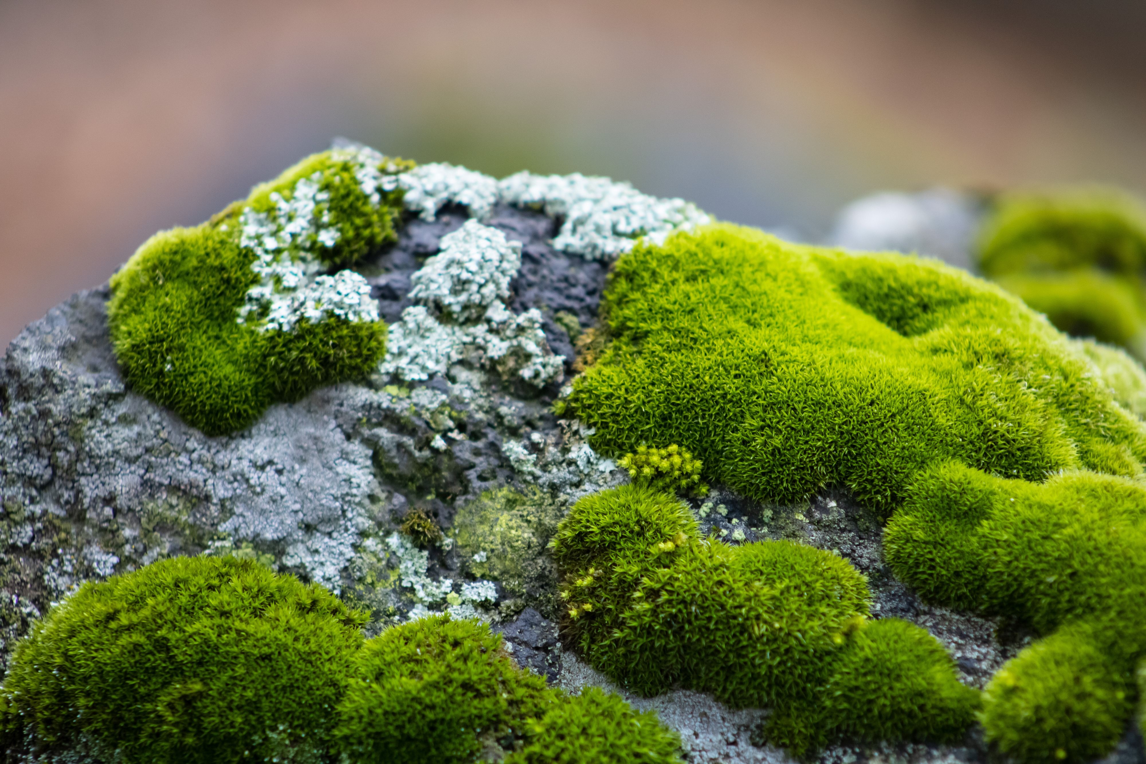 © Unsplash
