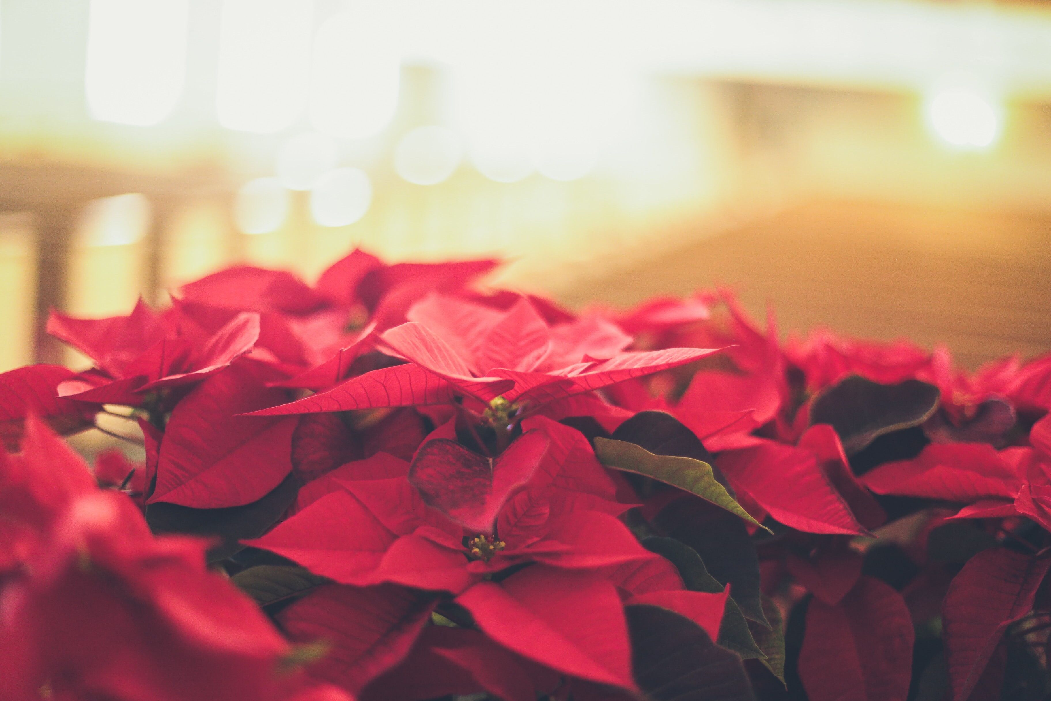 © Unsplash