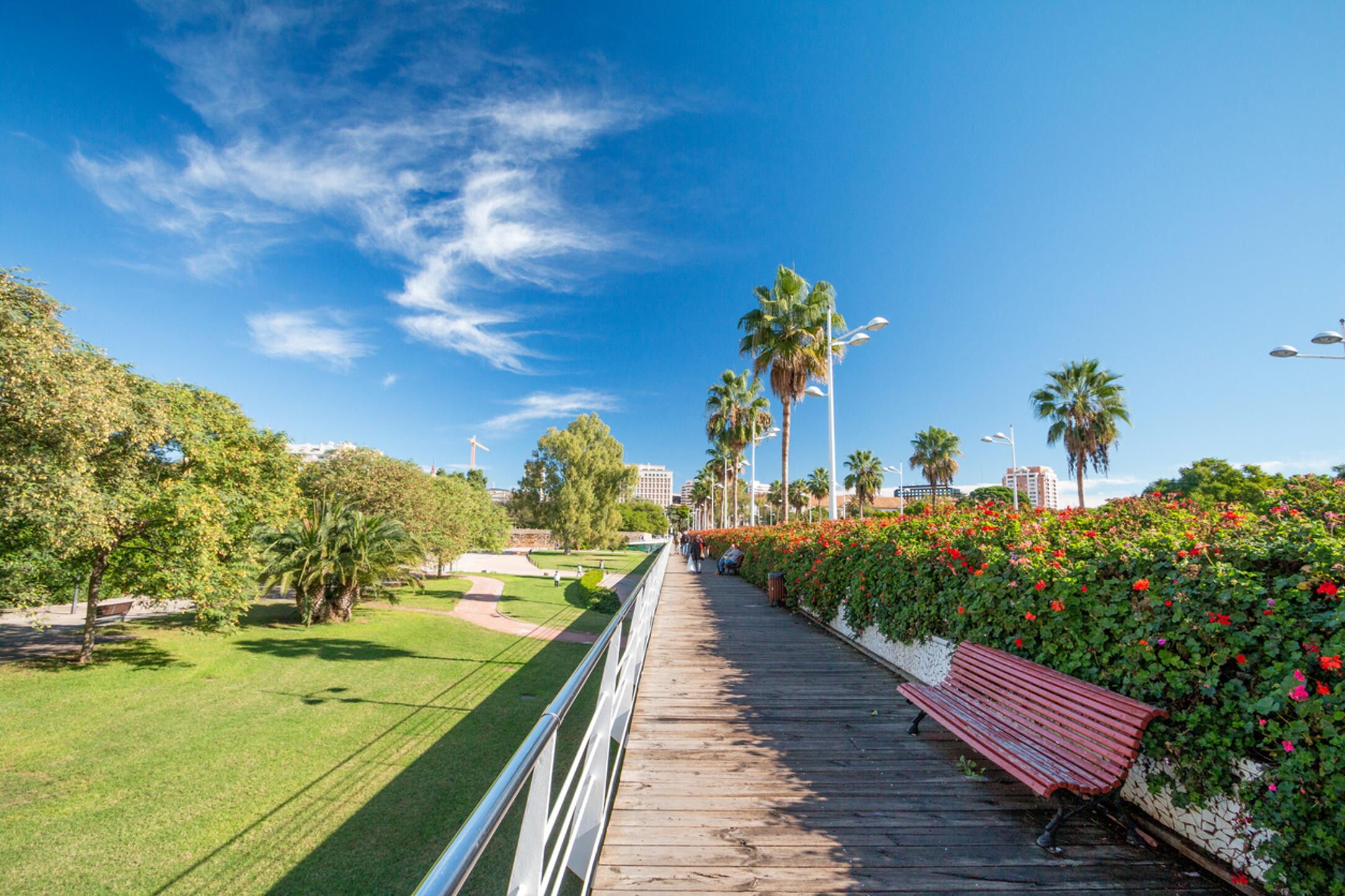 © Istockphoto  |  Spagna, Jardín del Turia di Valencia