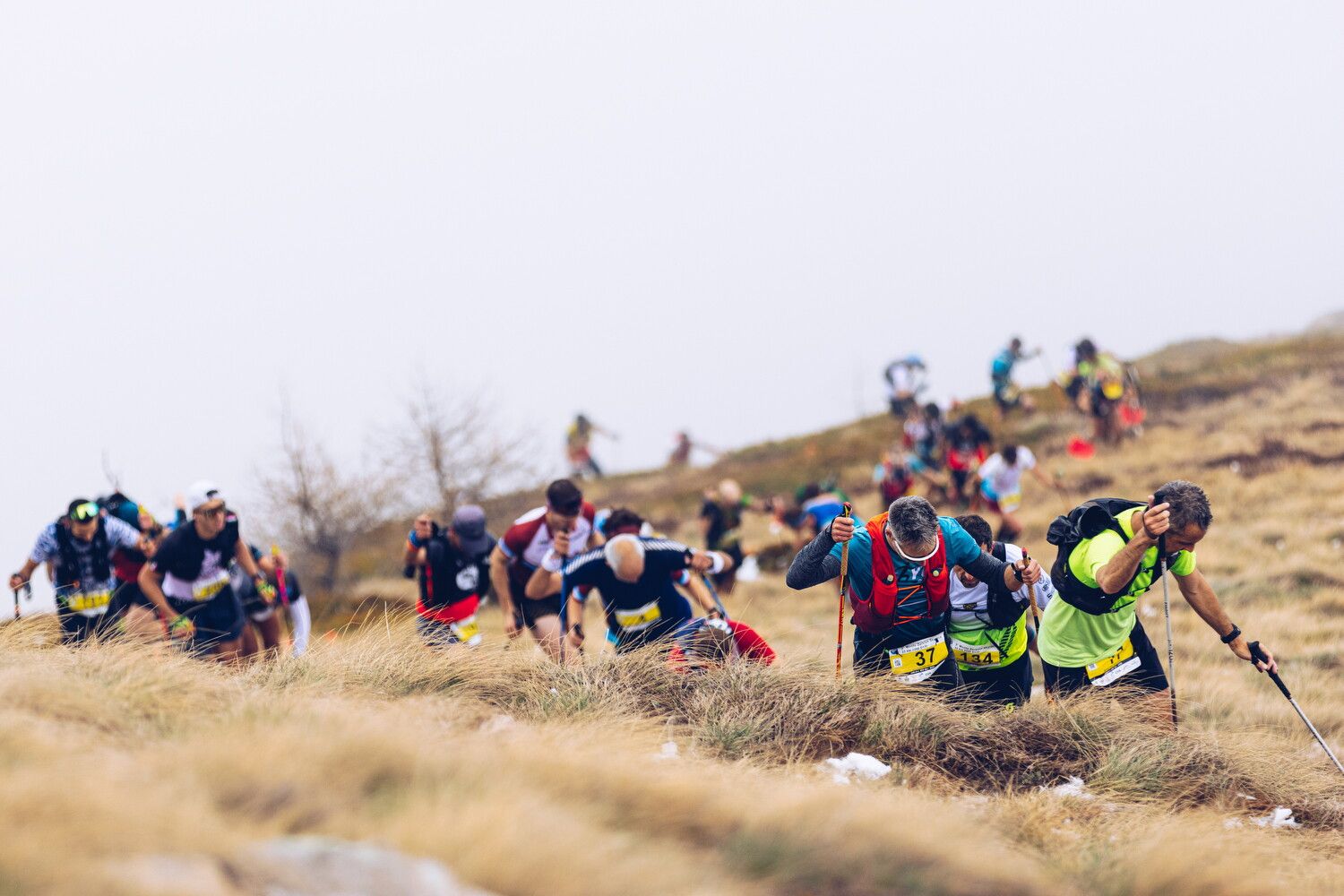 © Monte Zerbion Skyrace Press Office