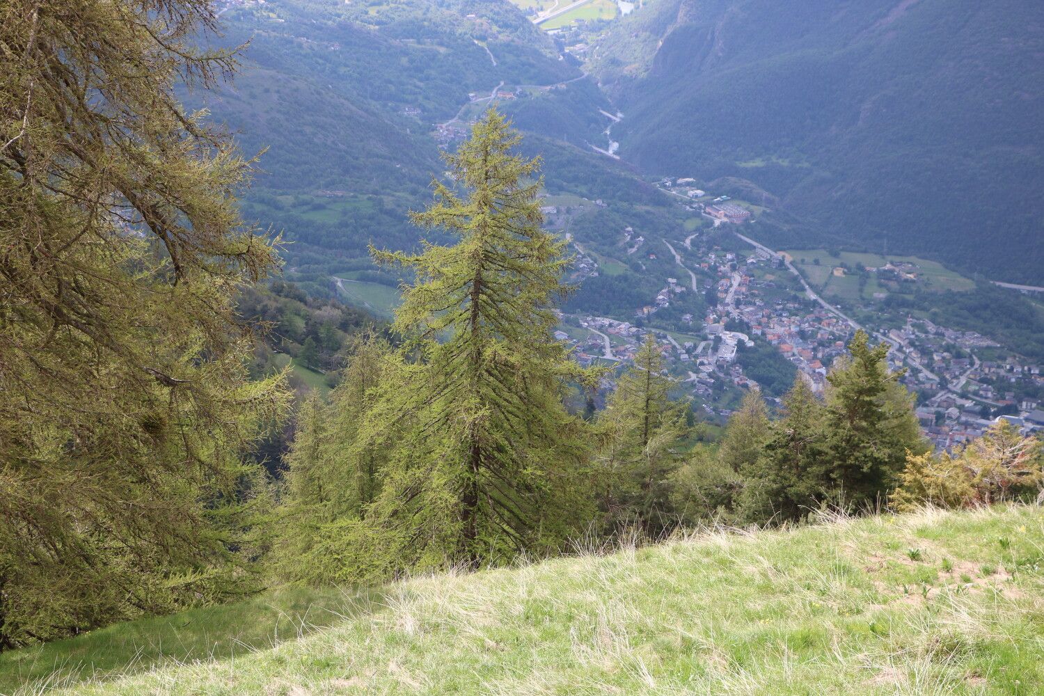 © Monte Zerbion Skyrace Press Office