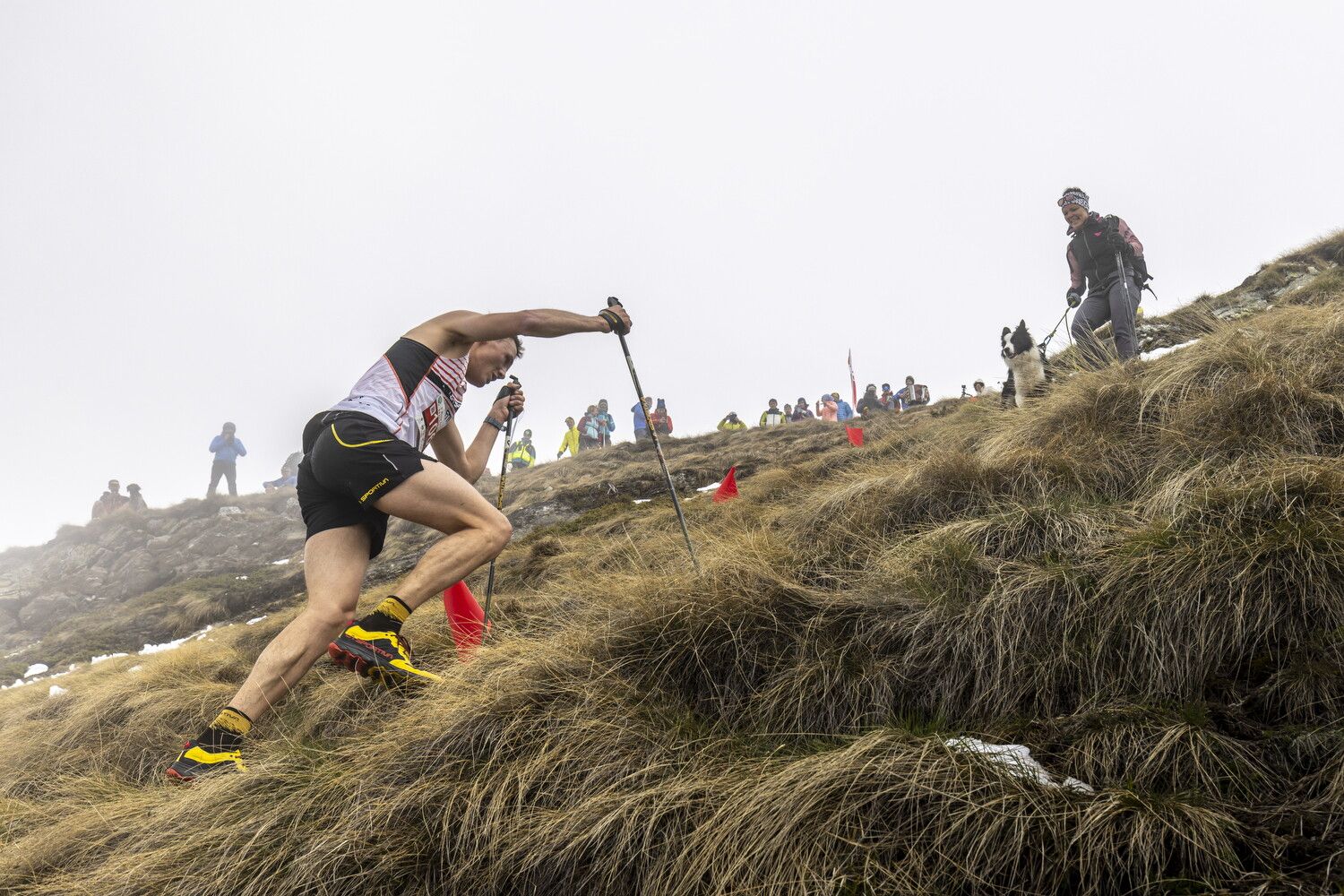 © Monte Zerbion Skyrace Press Office