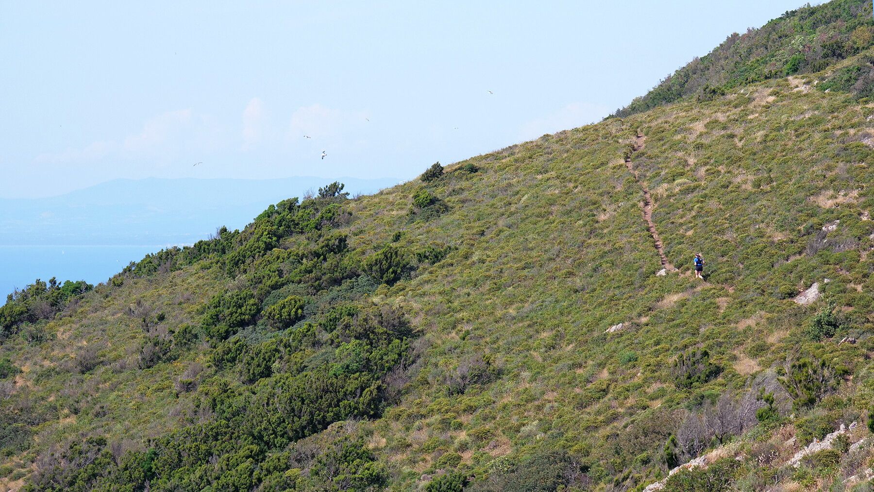 © Elba Legend Run Ufficio Stampa