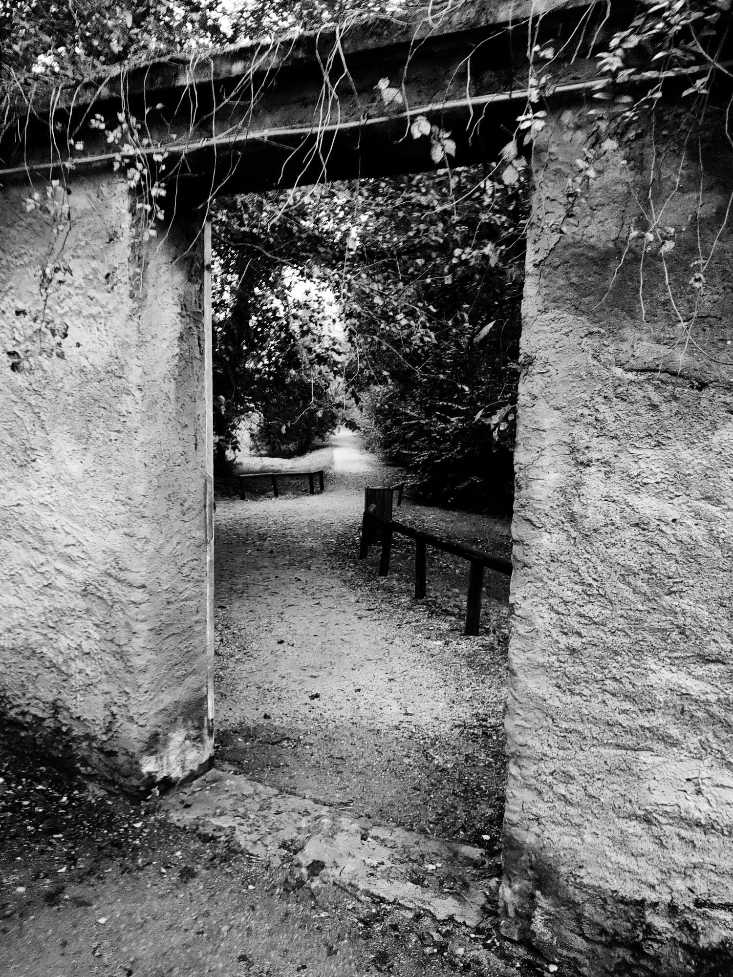 © Michele Cecotti