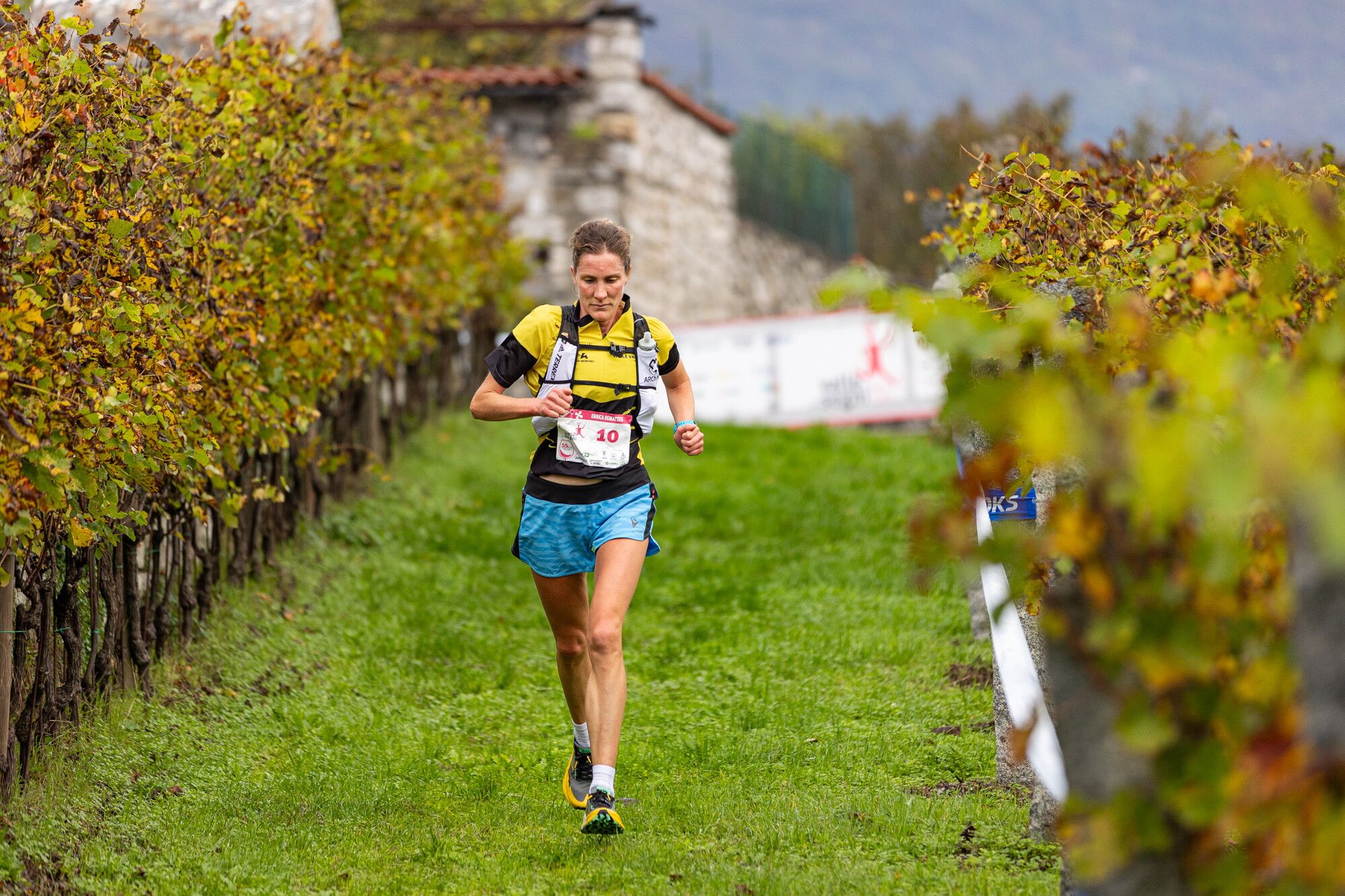 © Valle dei Segni Wine Trail Press Office