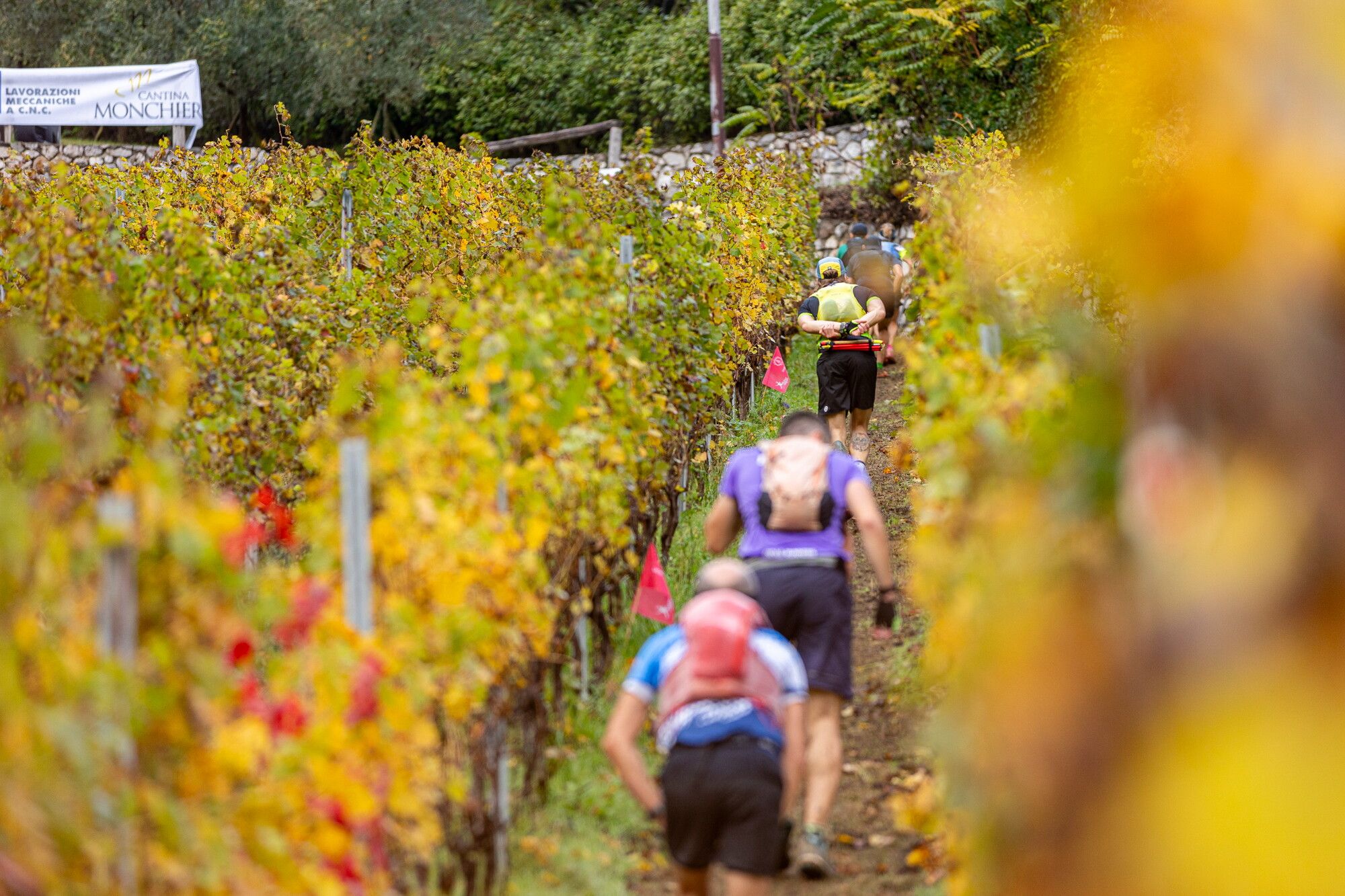 © Valle dei Segni Wine Trail Press Office