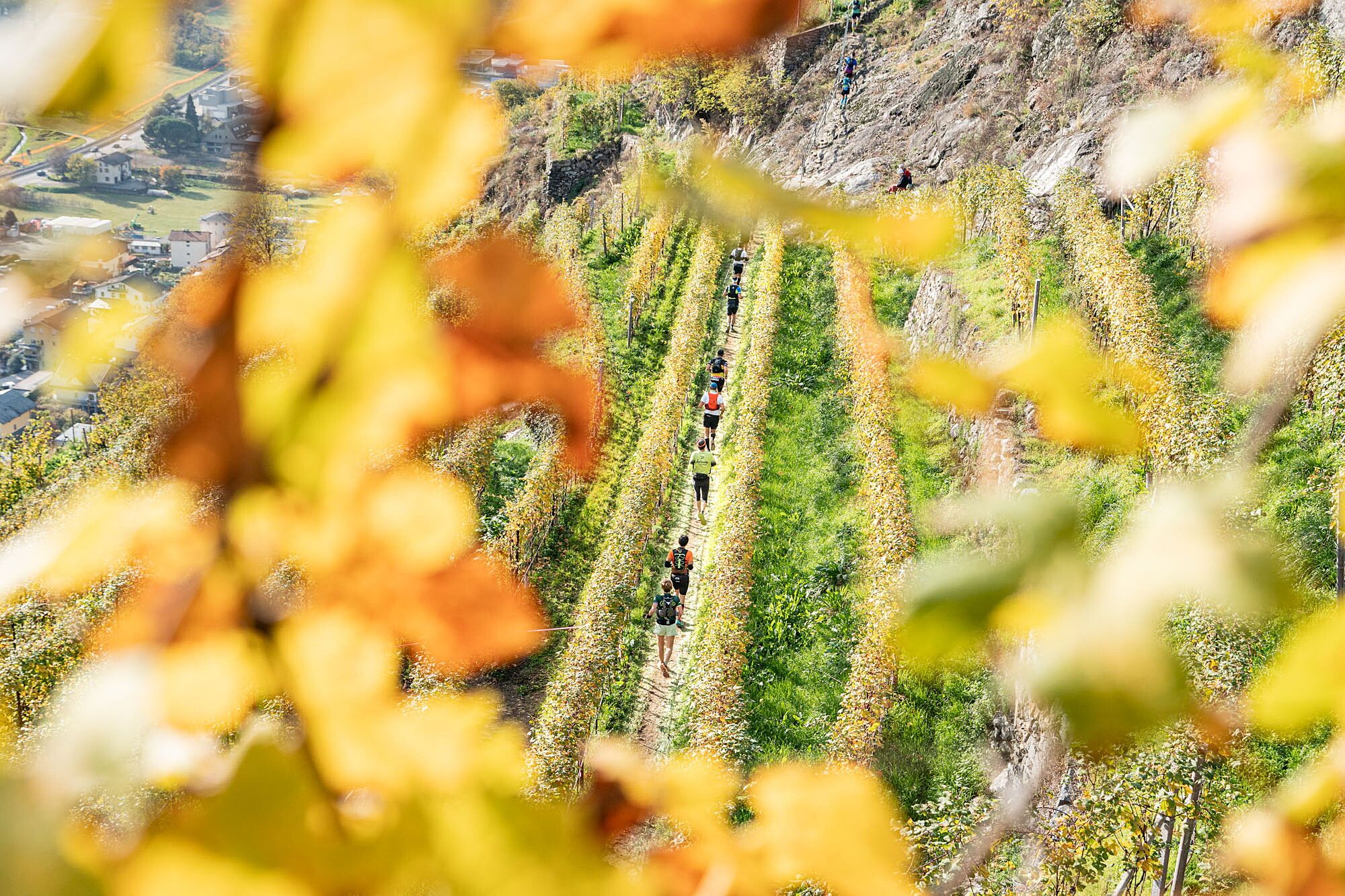 © Valtellina Wine Trail Press Office