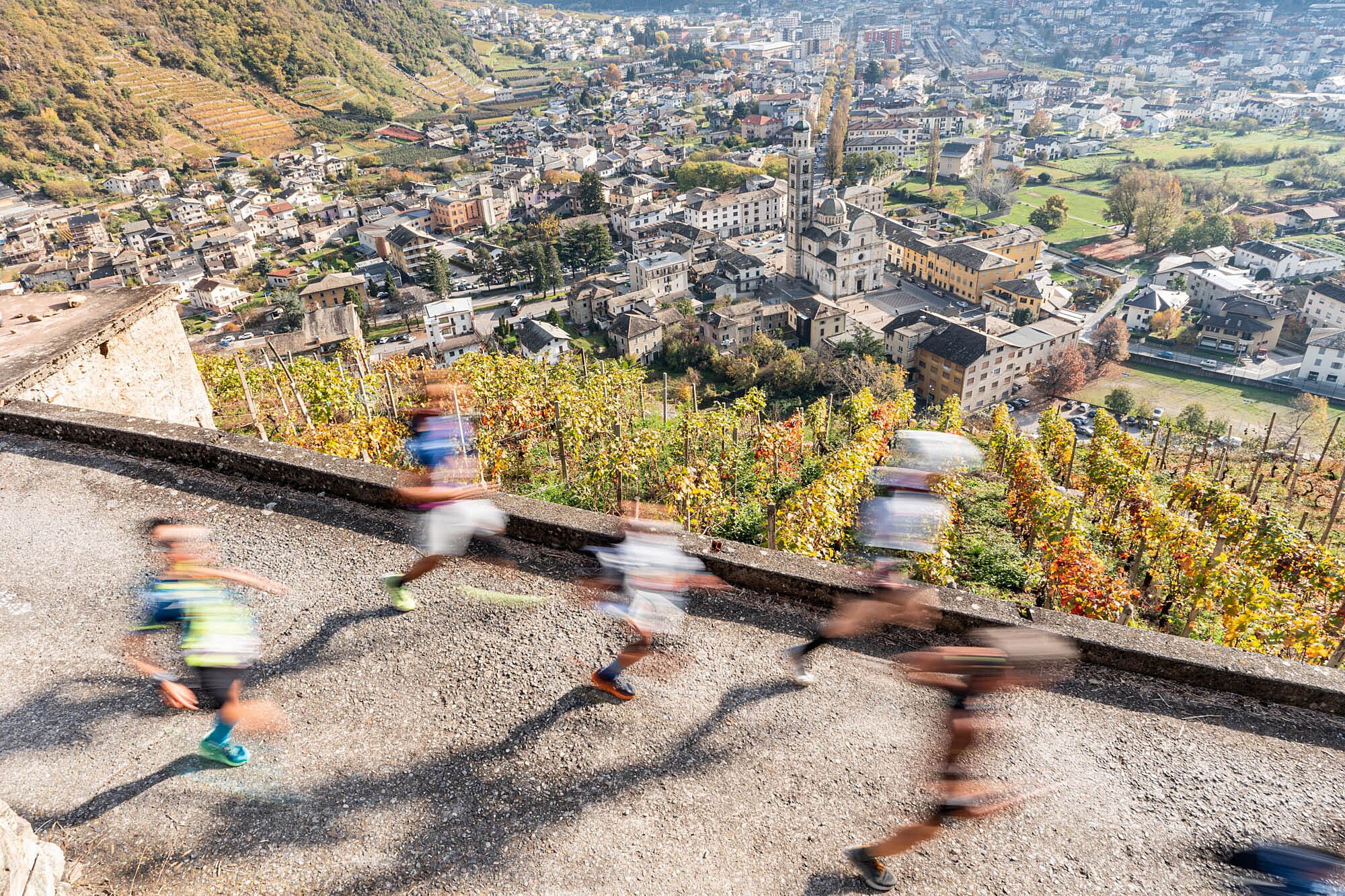 © Valtellina Wine Trail Press Office