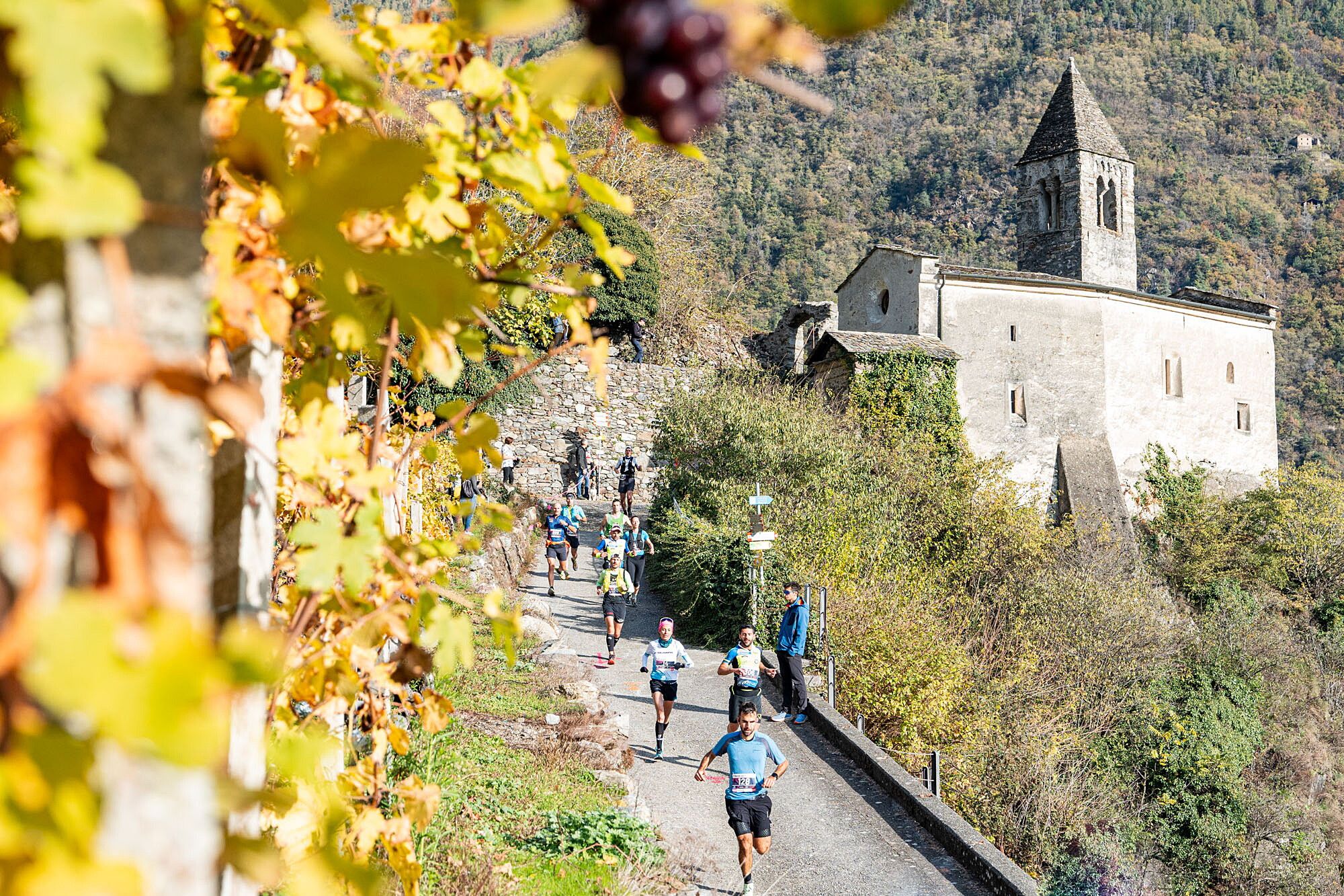 © Valtellina Wine Trail Press Office