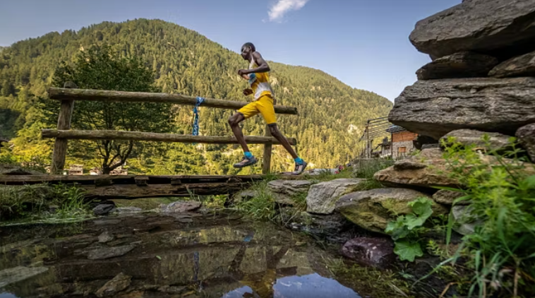 © Marco Gulberti