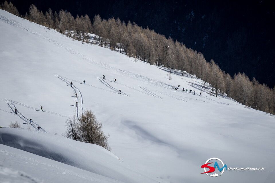 © Maurizio Torri