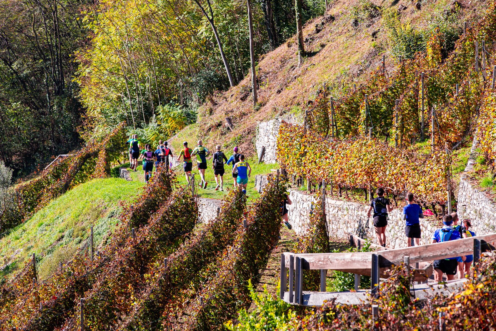 © Valle dei Segni Wine Trail Press Office