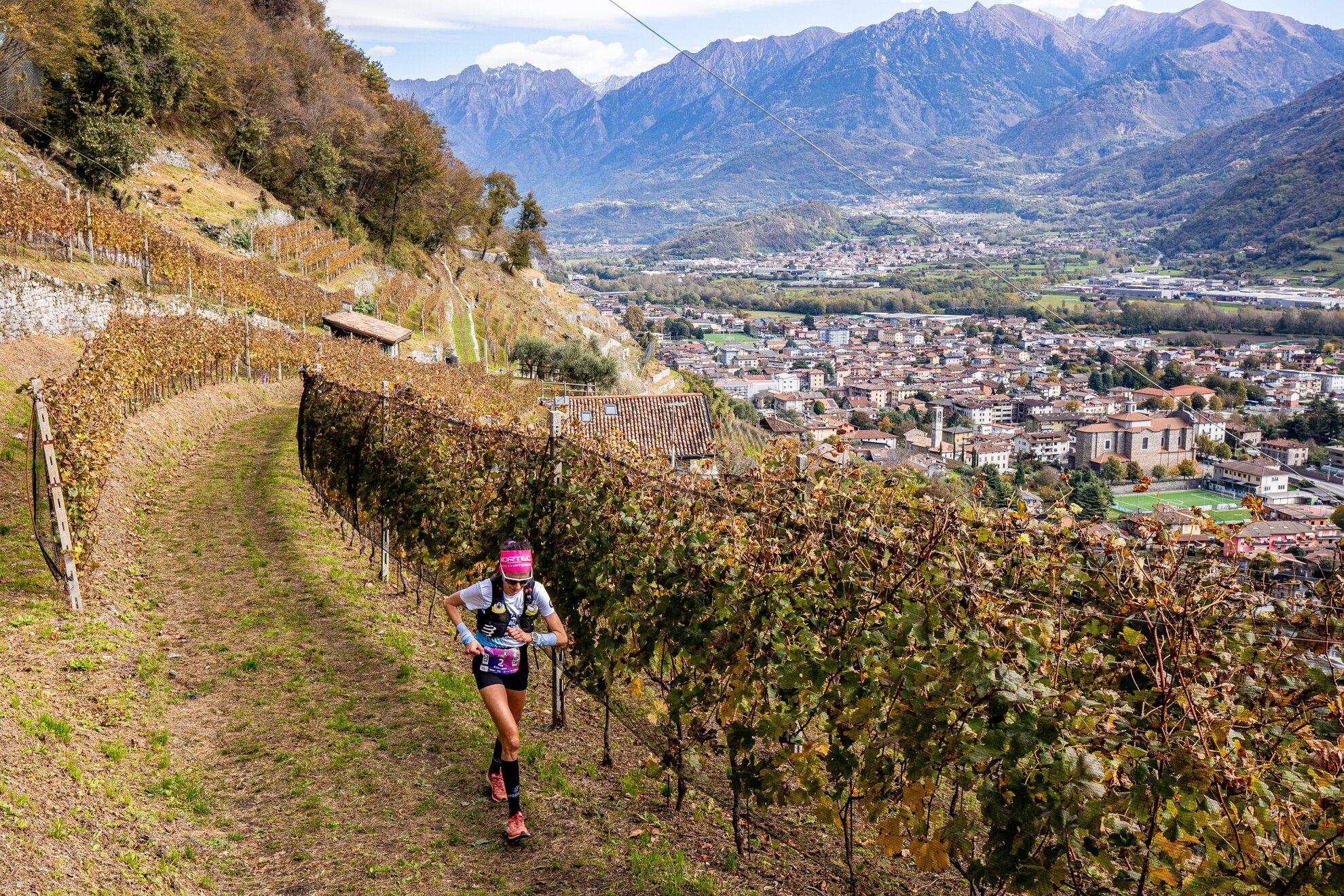 © Valle dei Segni Wine Trail Press Office