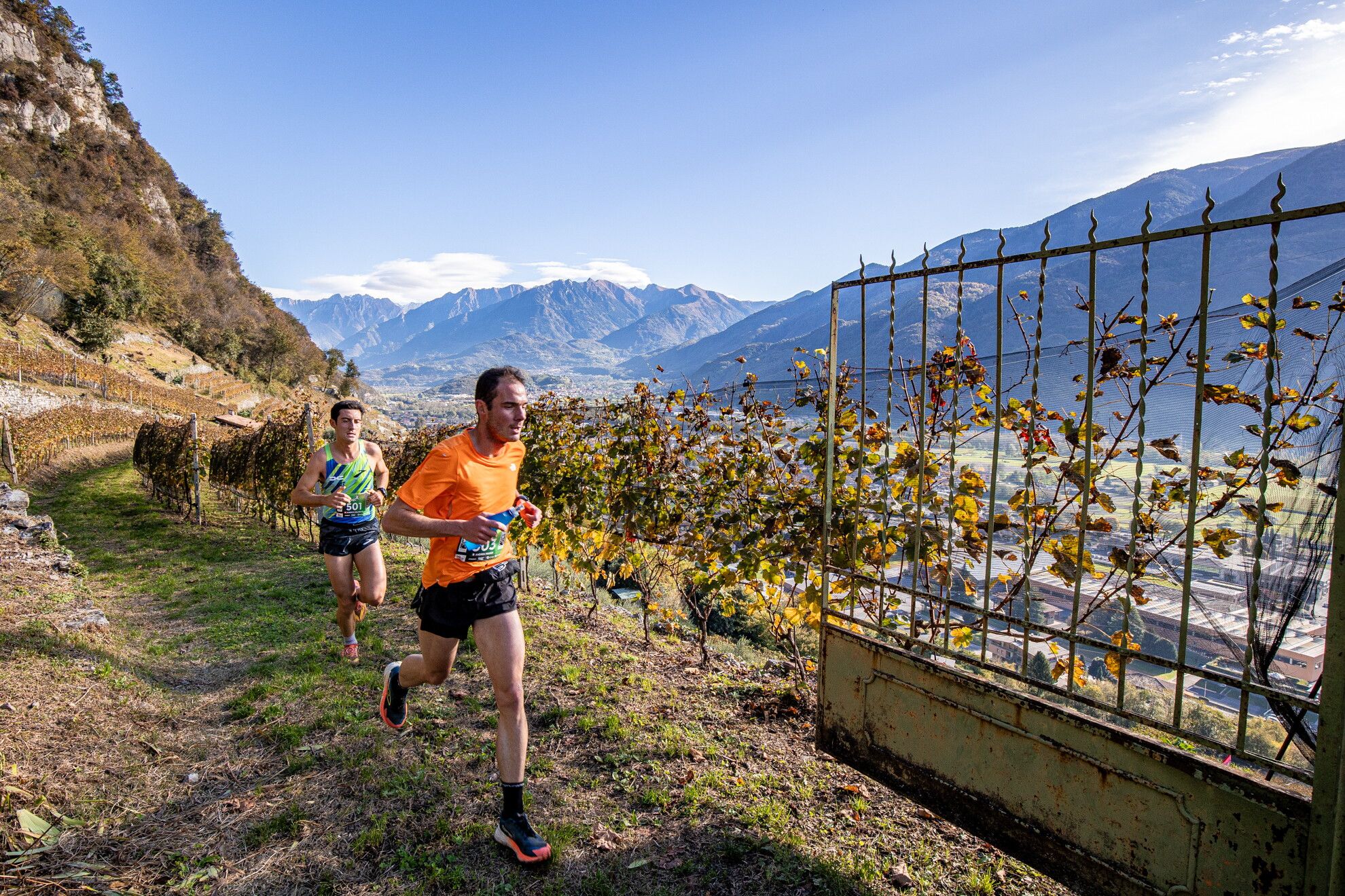 © Valle dei Segni Wine Trail Press Office