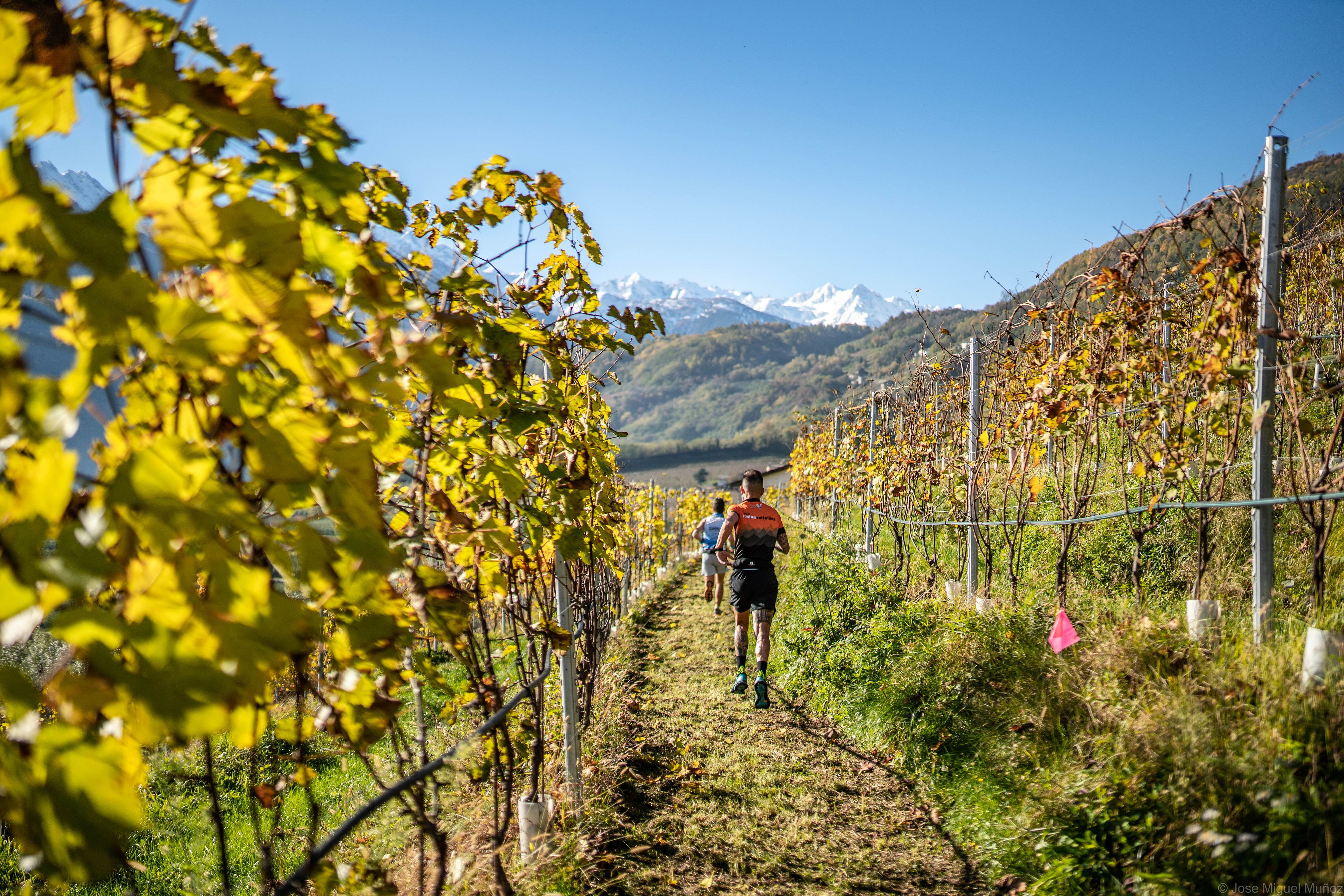 © José Miguel Muñoz 