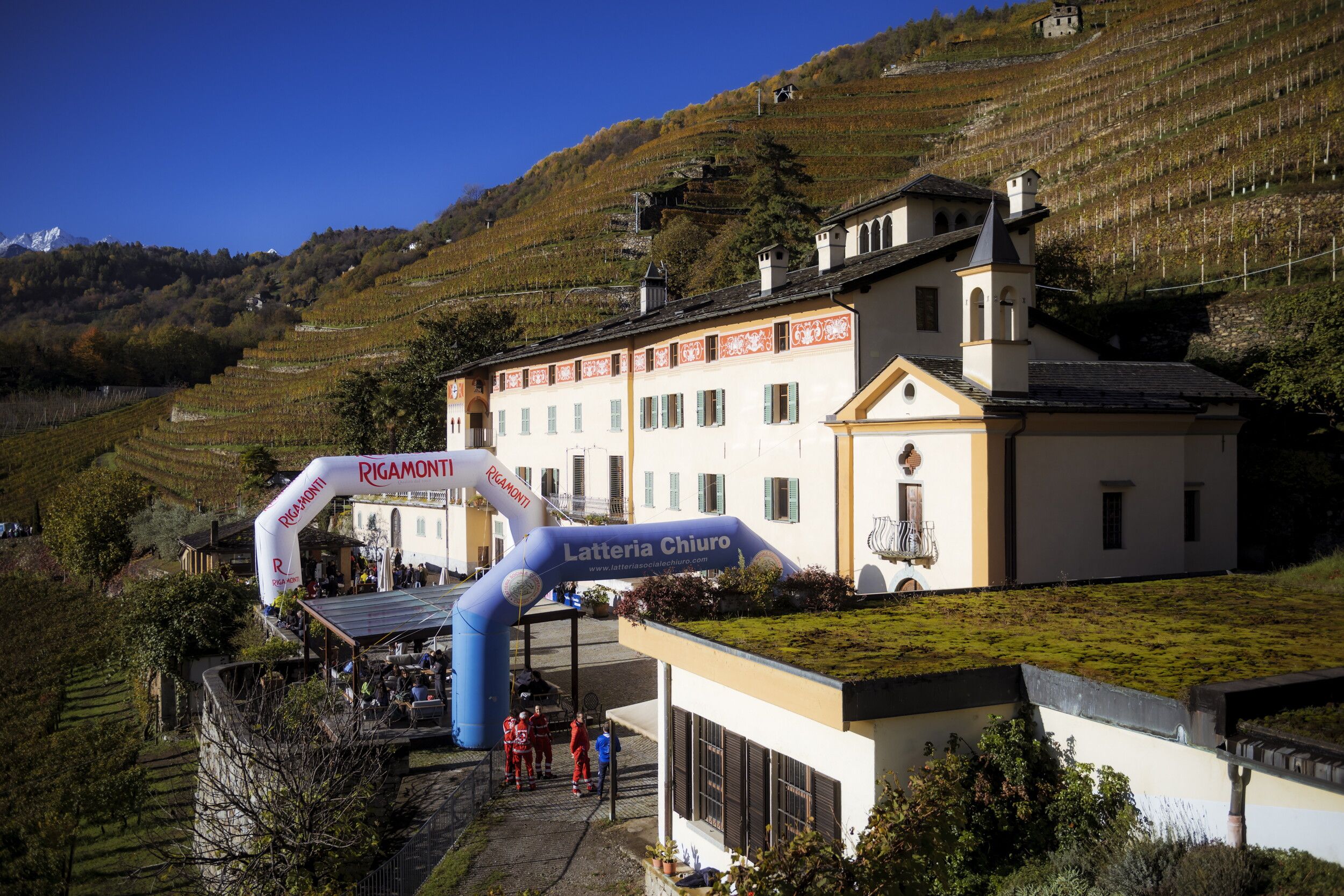 © Emily Collinge/Phil Gale