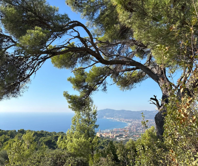 © Trail del Ciapà Ufficio Stampa