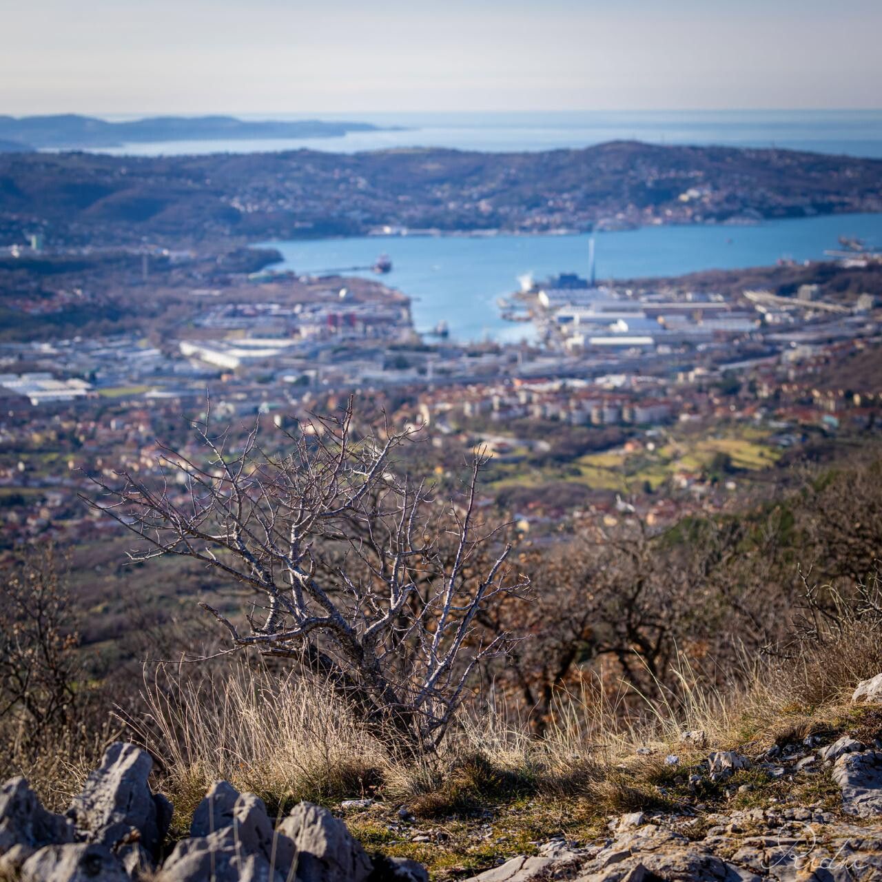 © Ridni Foto/Corsa della Bora Ufficio Stampa