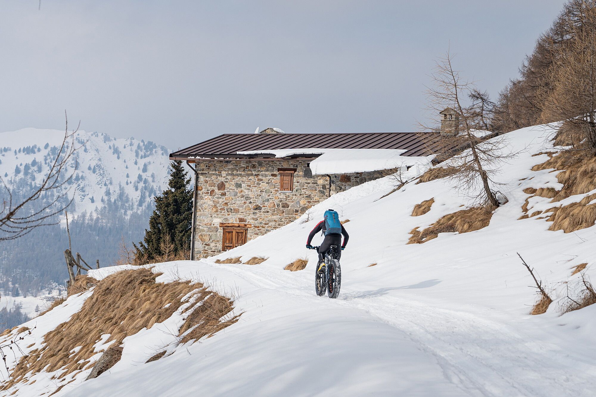 © Giacomo Meneghello