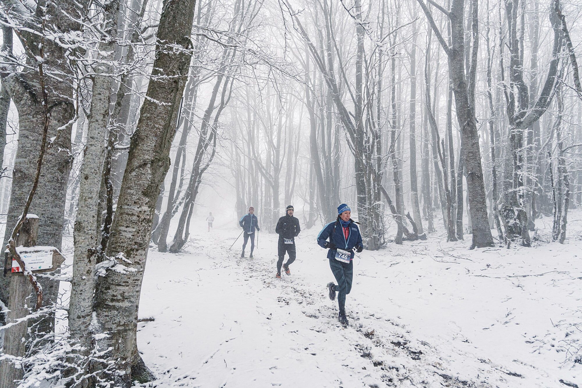 © Giacomo Meneghello