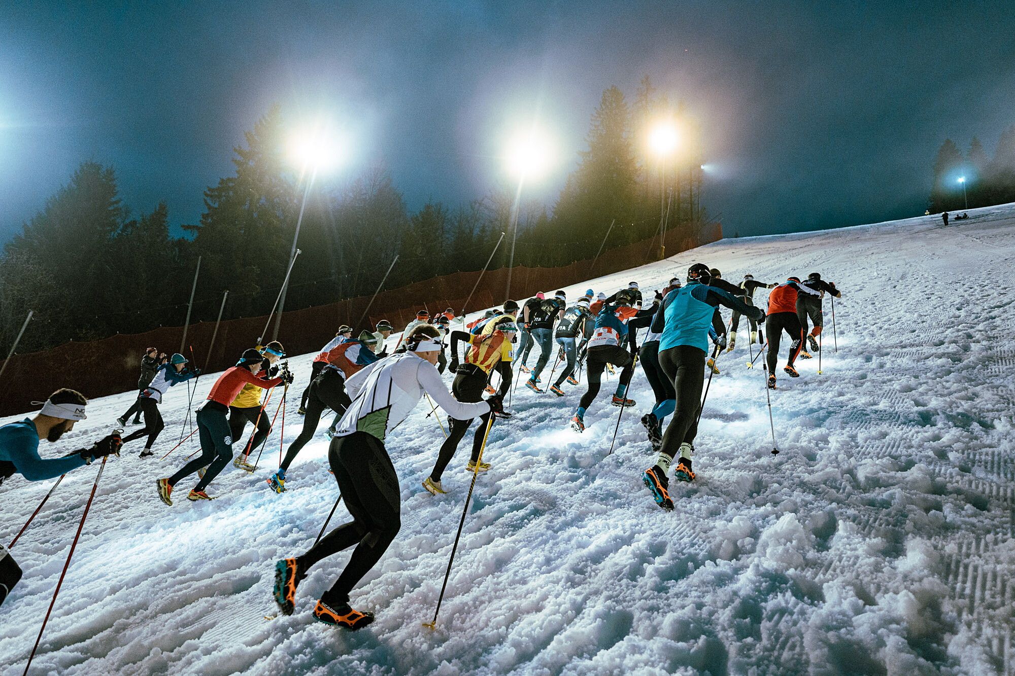 © Giacomo Meneghello