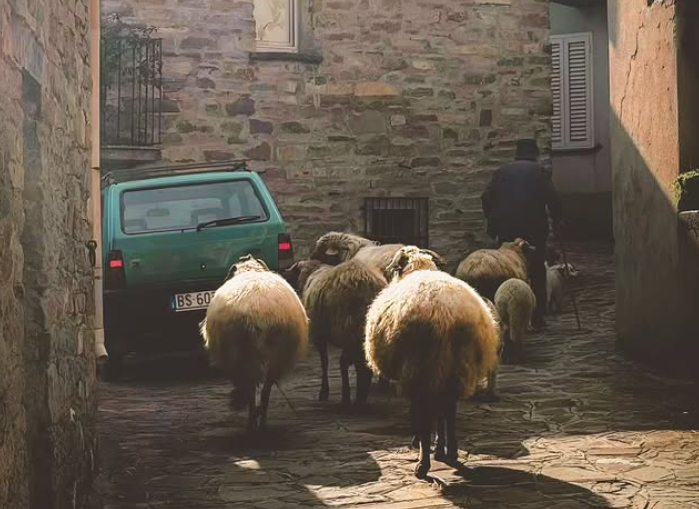 © Instagram pandinineipaesini