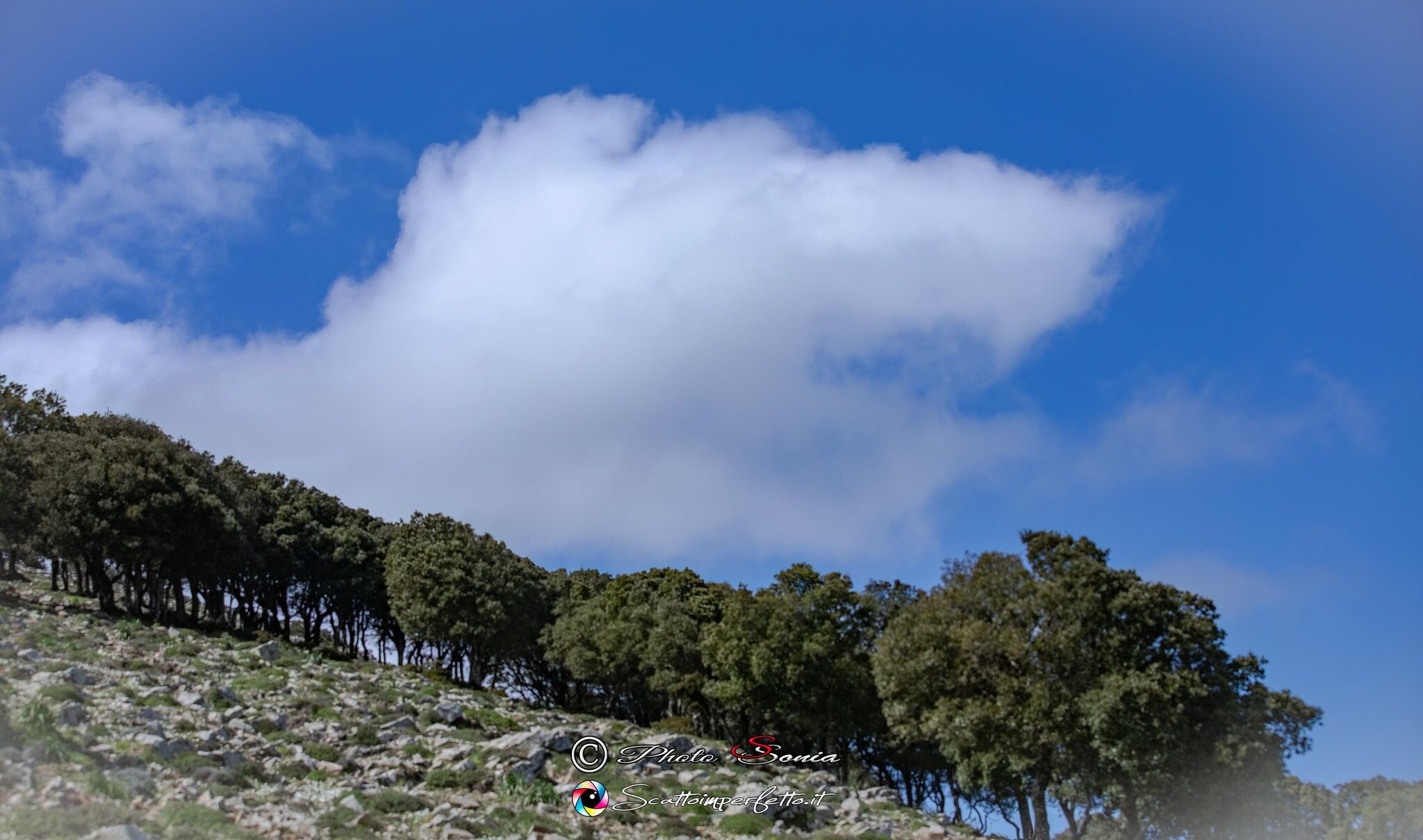 © Sonia Siddi/Scattoimperfetto.it