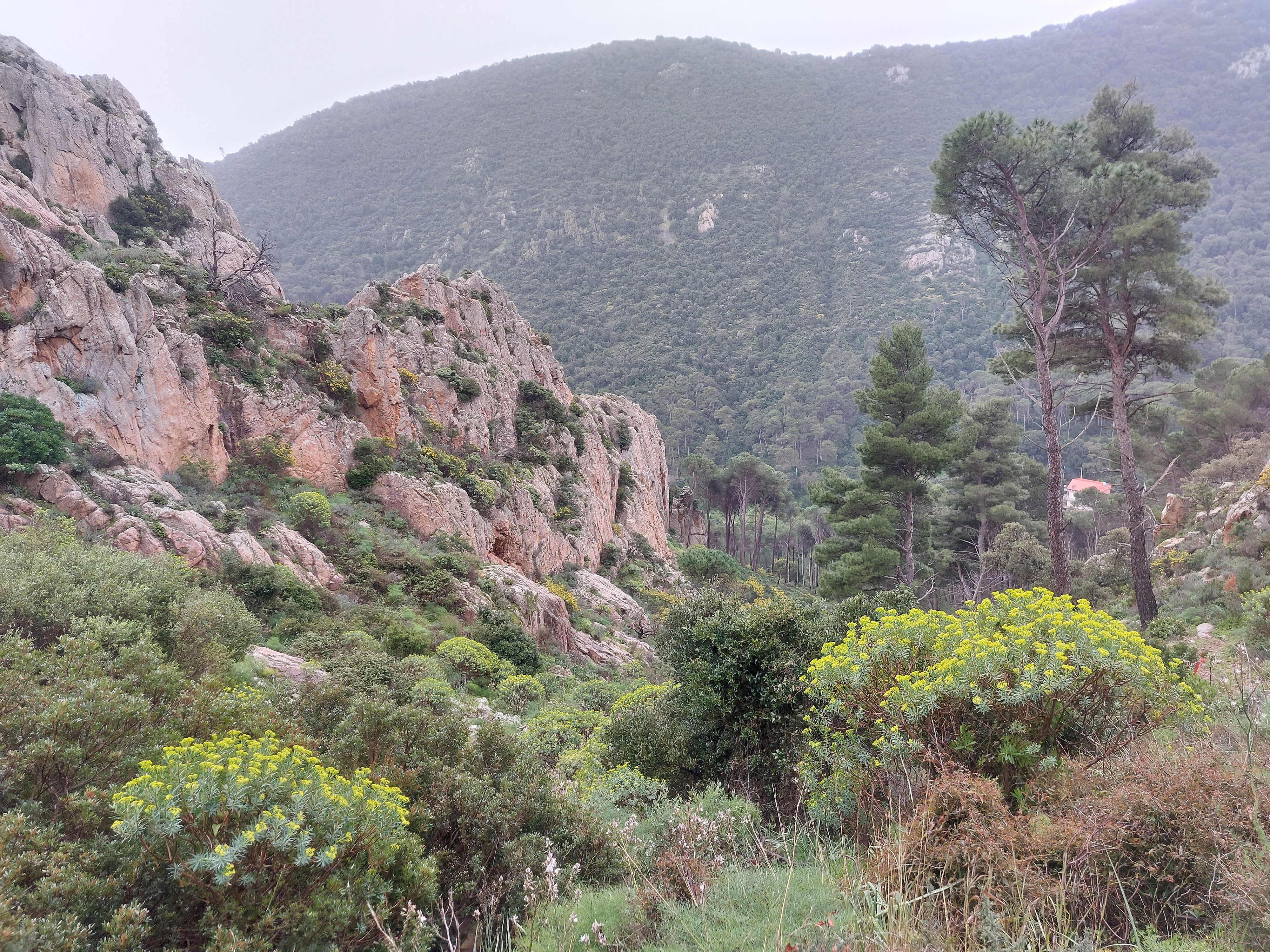 © Stefano Giovanni Gatti