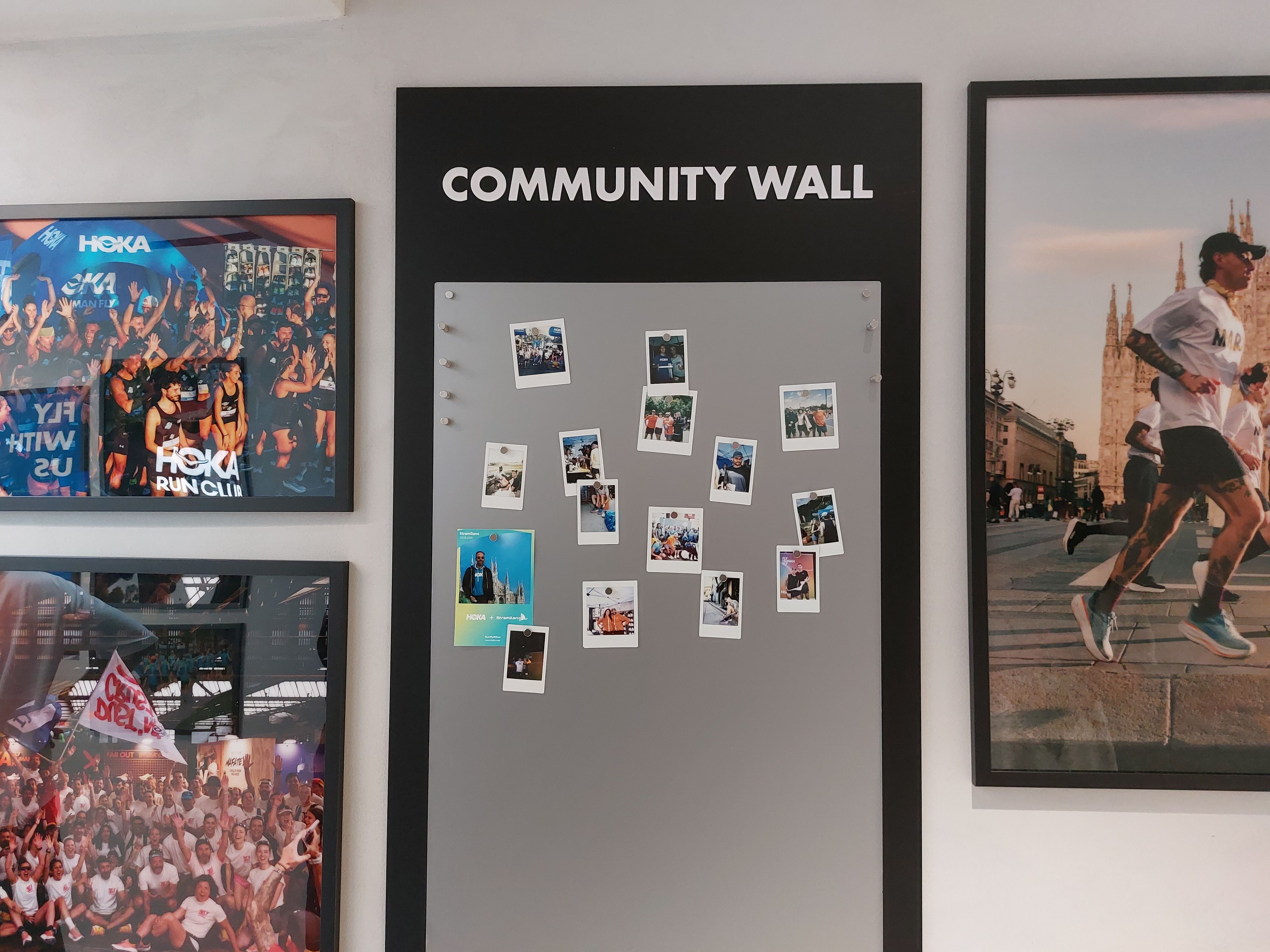 © Stefano Giovanni Gatti