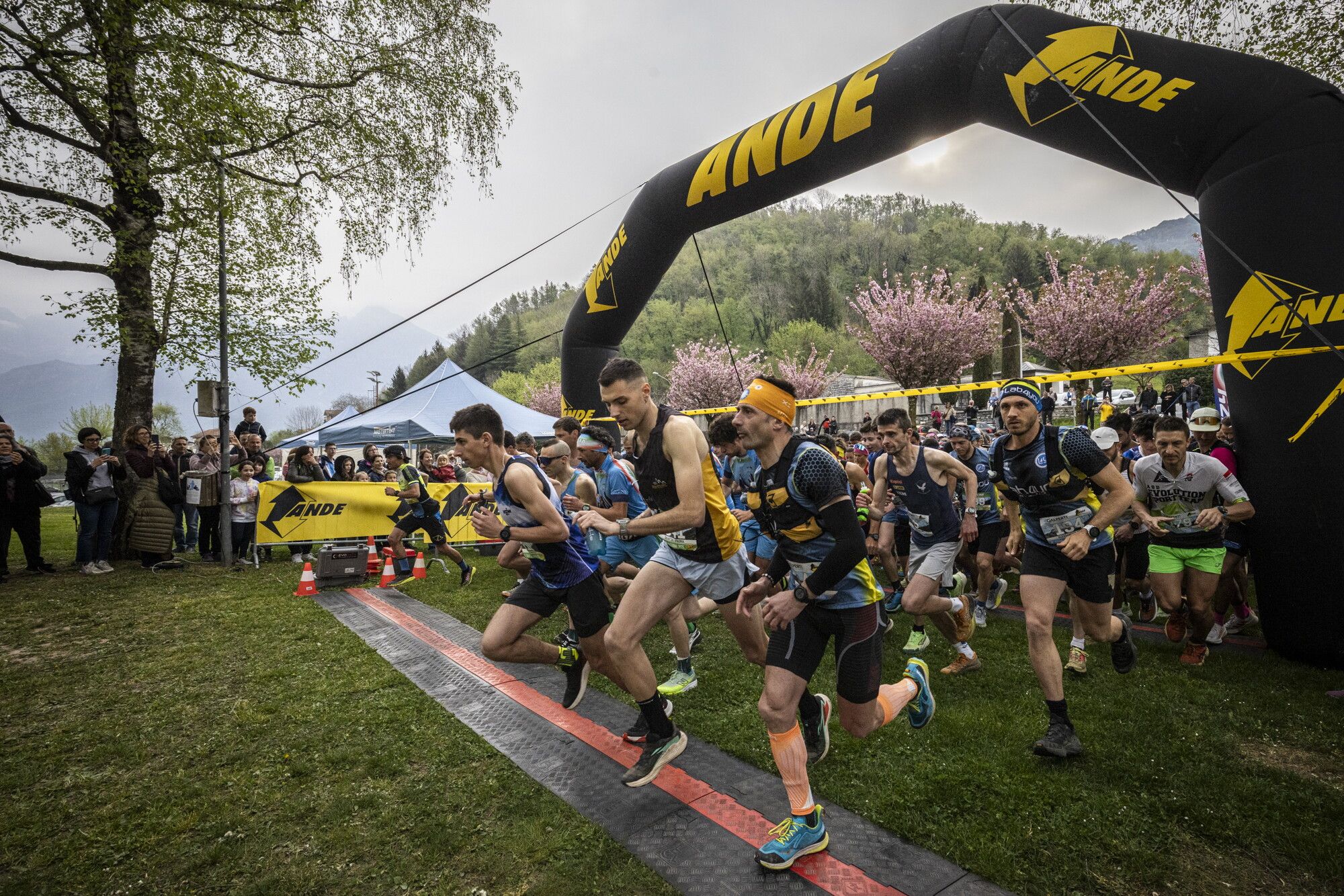 © Francesco Bergamaschi